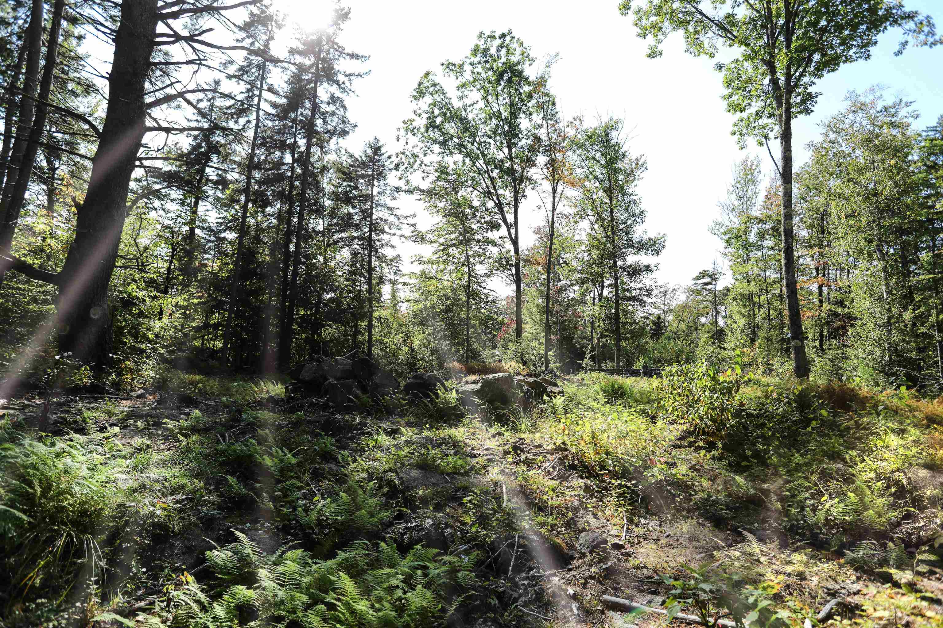 Photo of 0 Rogers Road Alstead NH 03602