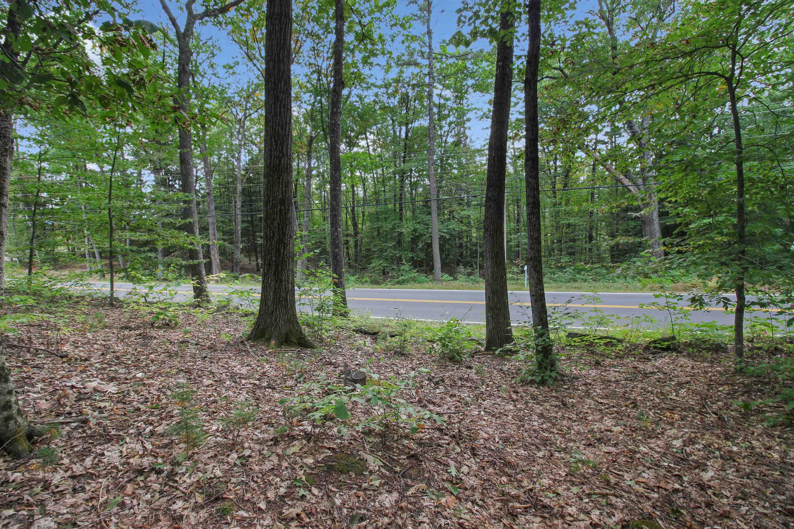 Featured Listing Photo