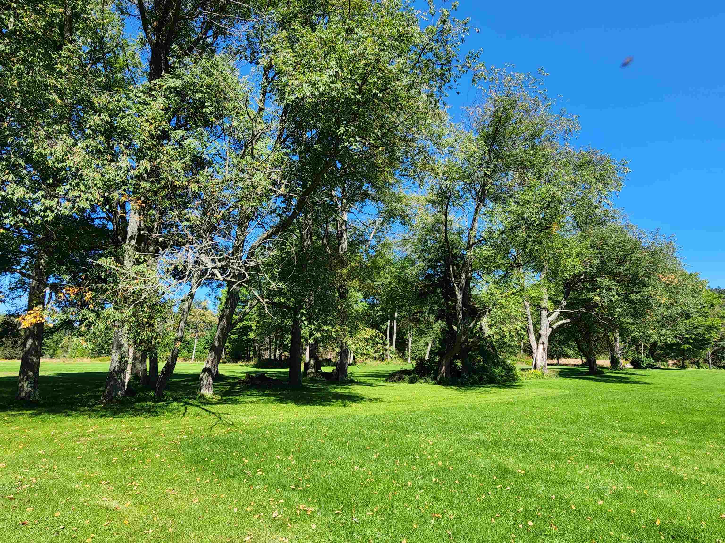 MLS #5015894 image #37