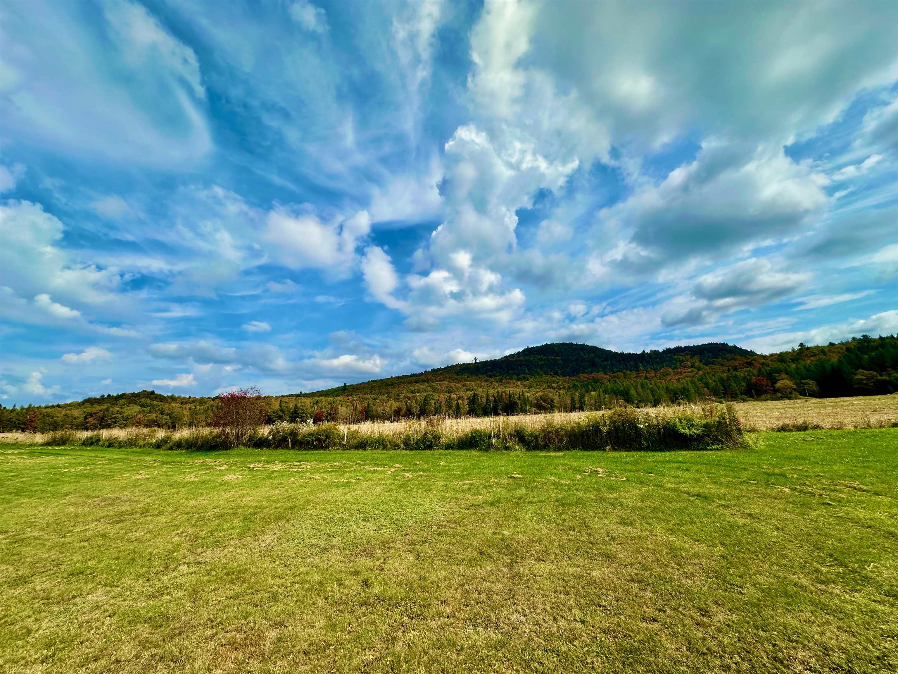 MLS #5015894 image #40