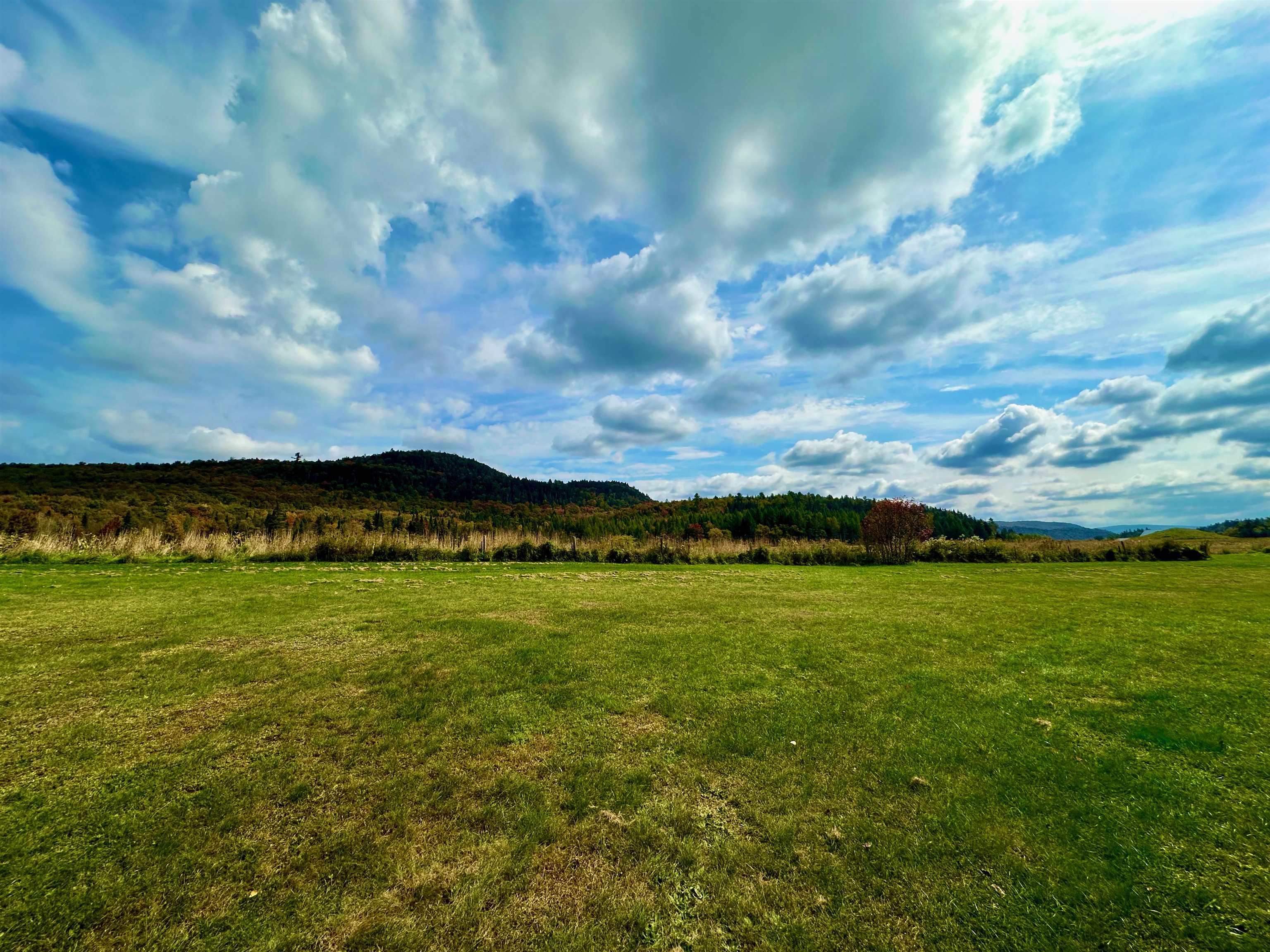 MLS #5015894 image #41