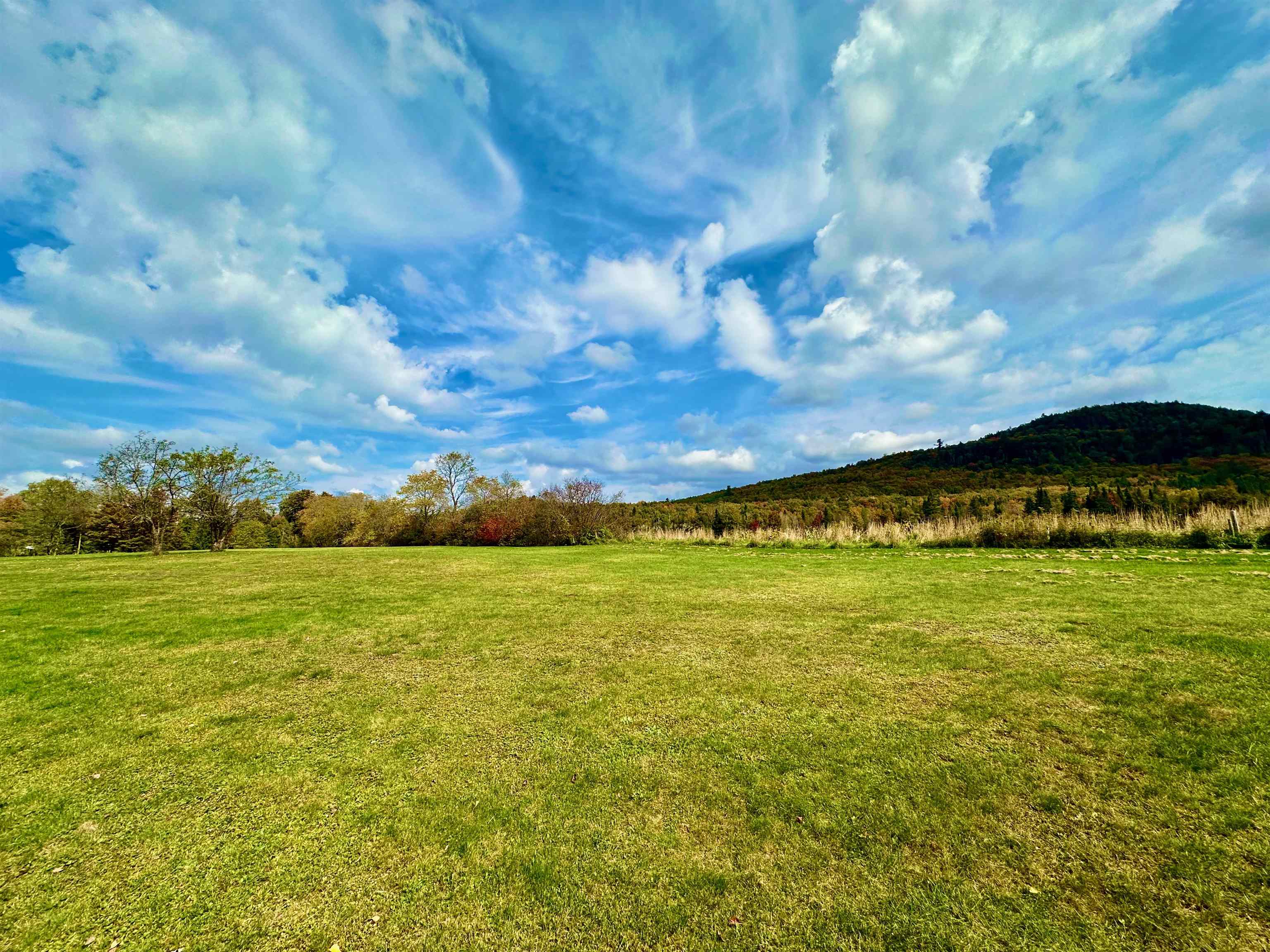 MLS #5015894 image #42