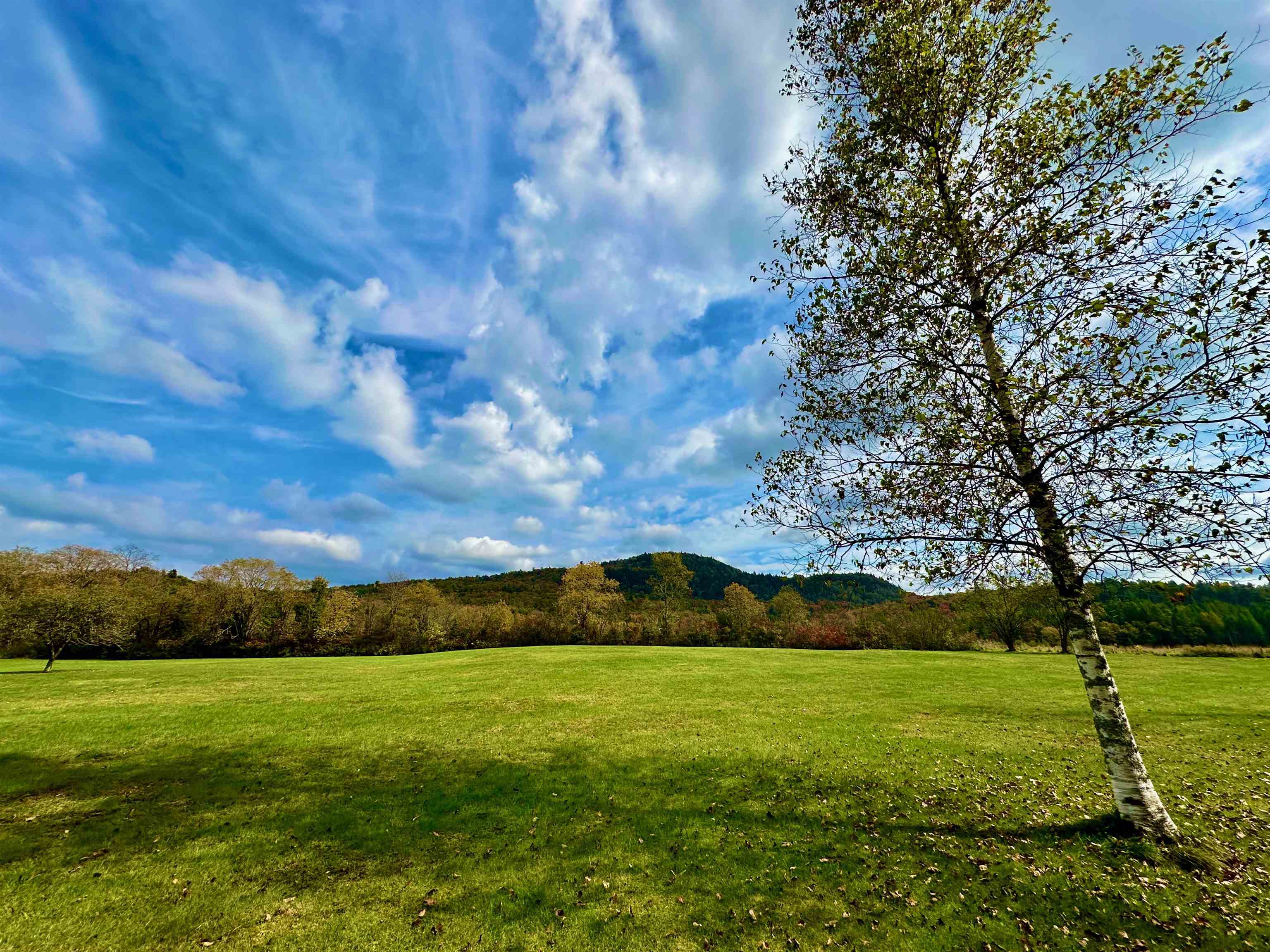 MLS #5015894 image #43