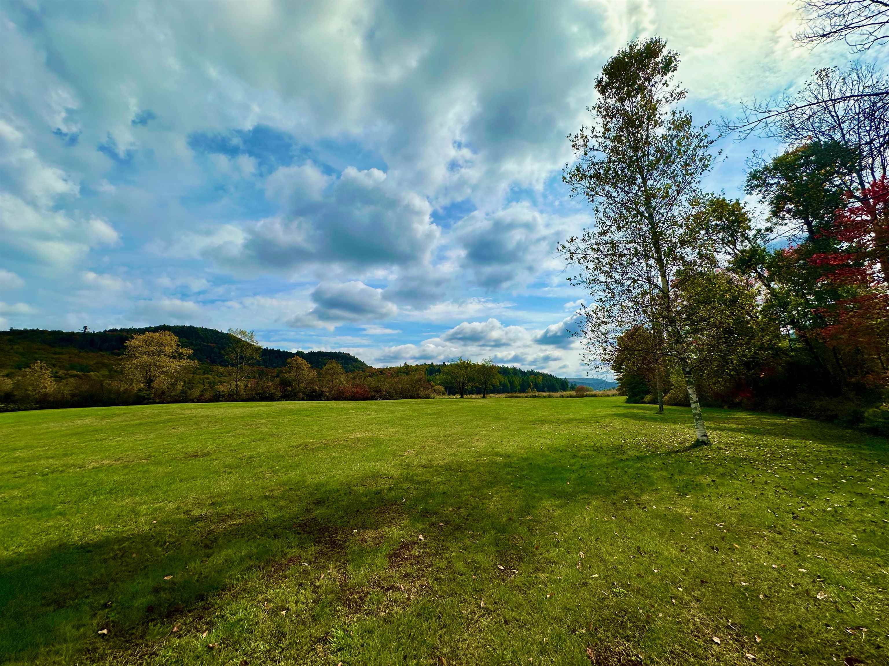 MLS #5015894 image #44