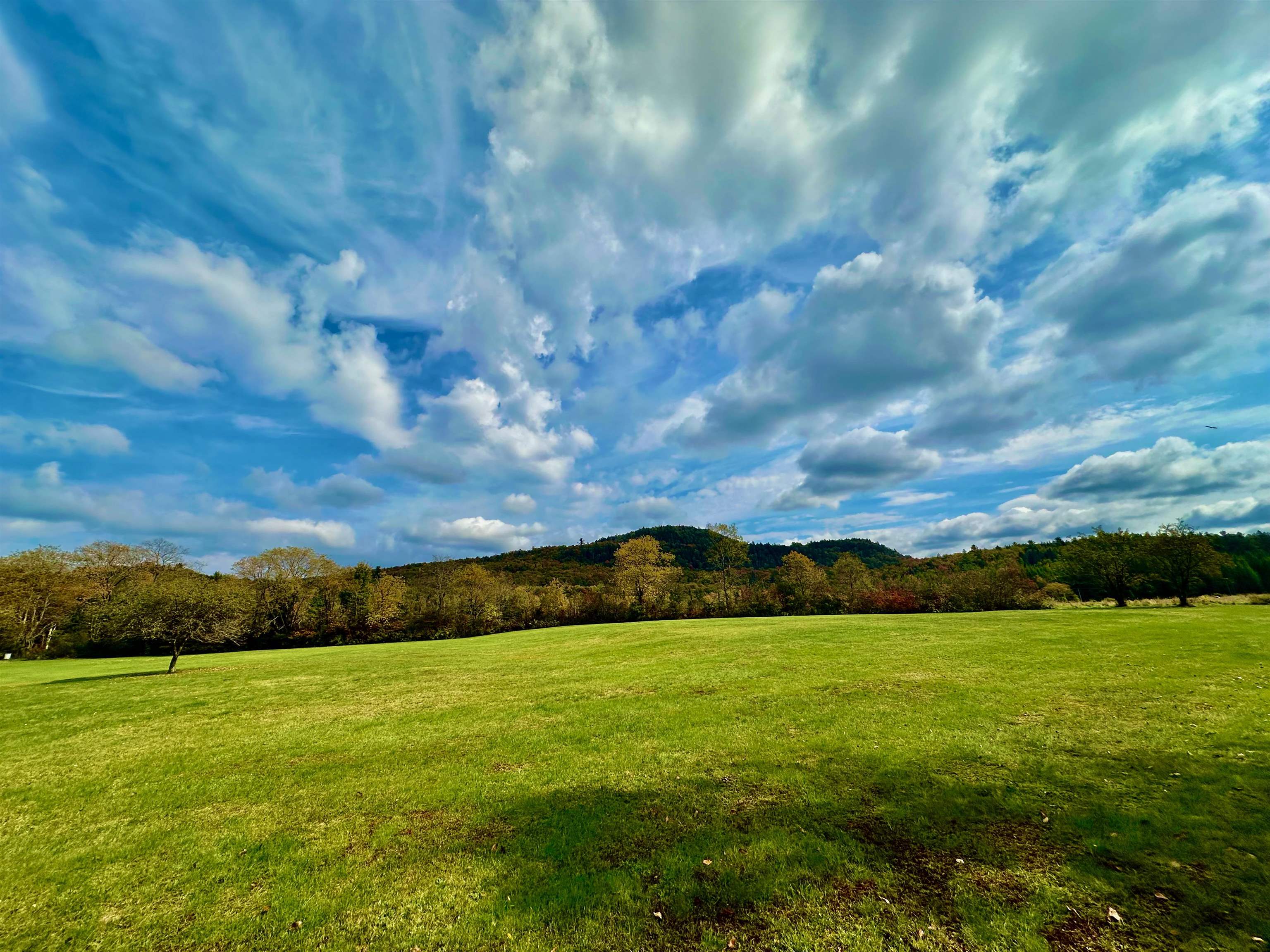 MLS #5015894 image #45