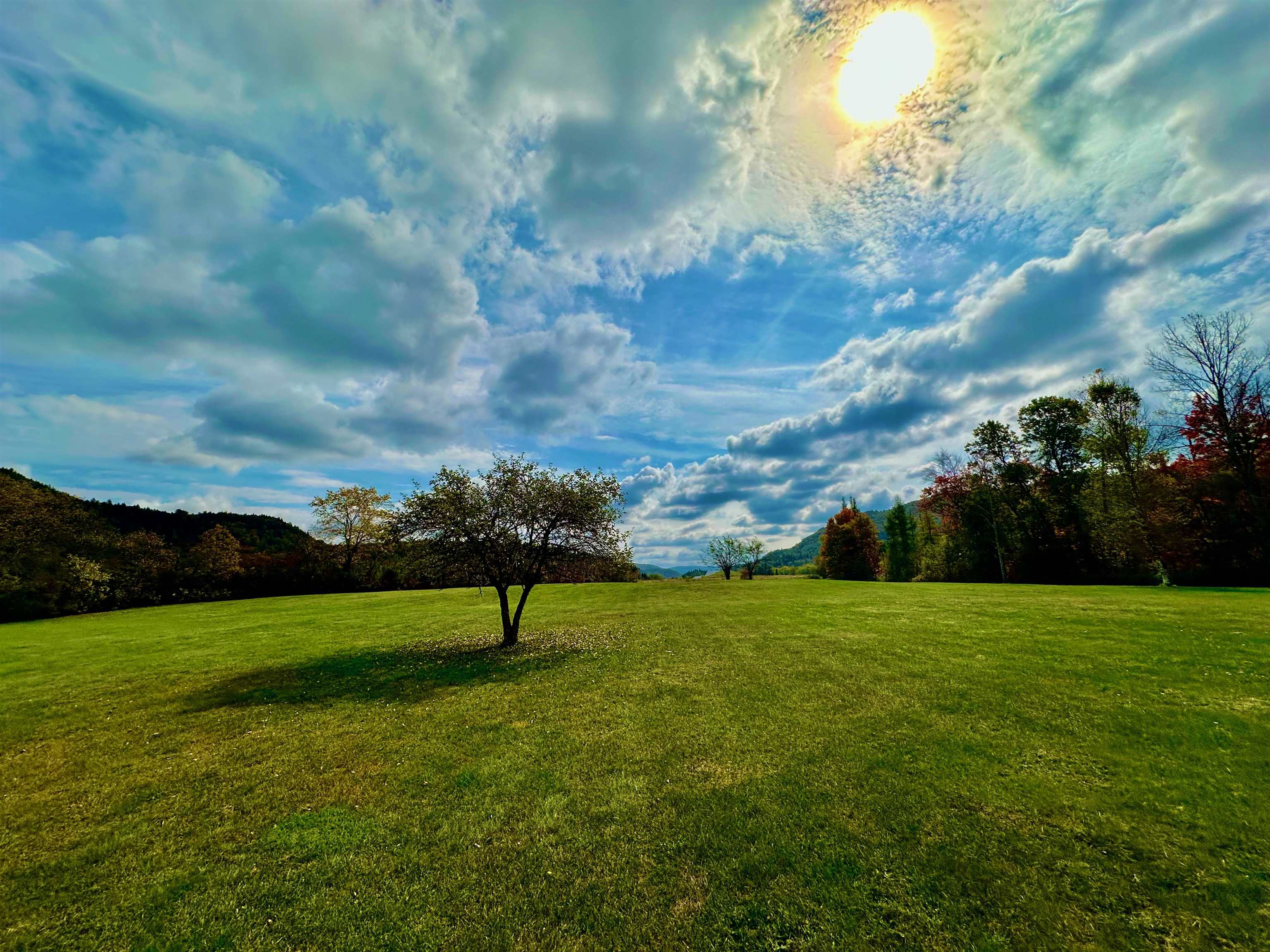 MLS #5015894 image #47