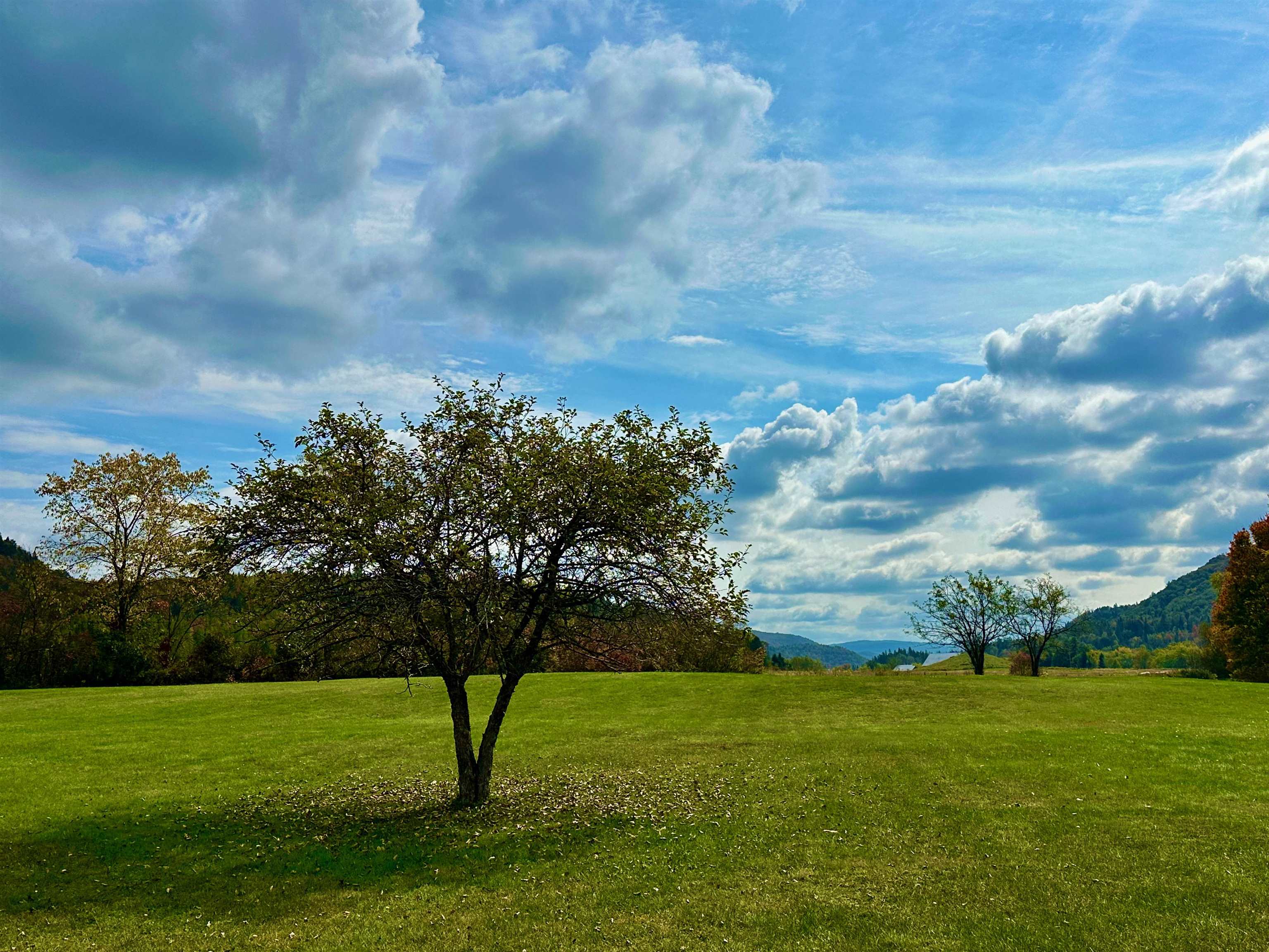 MLS #5015894 image #48