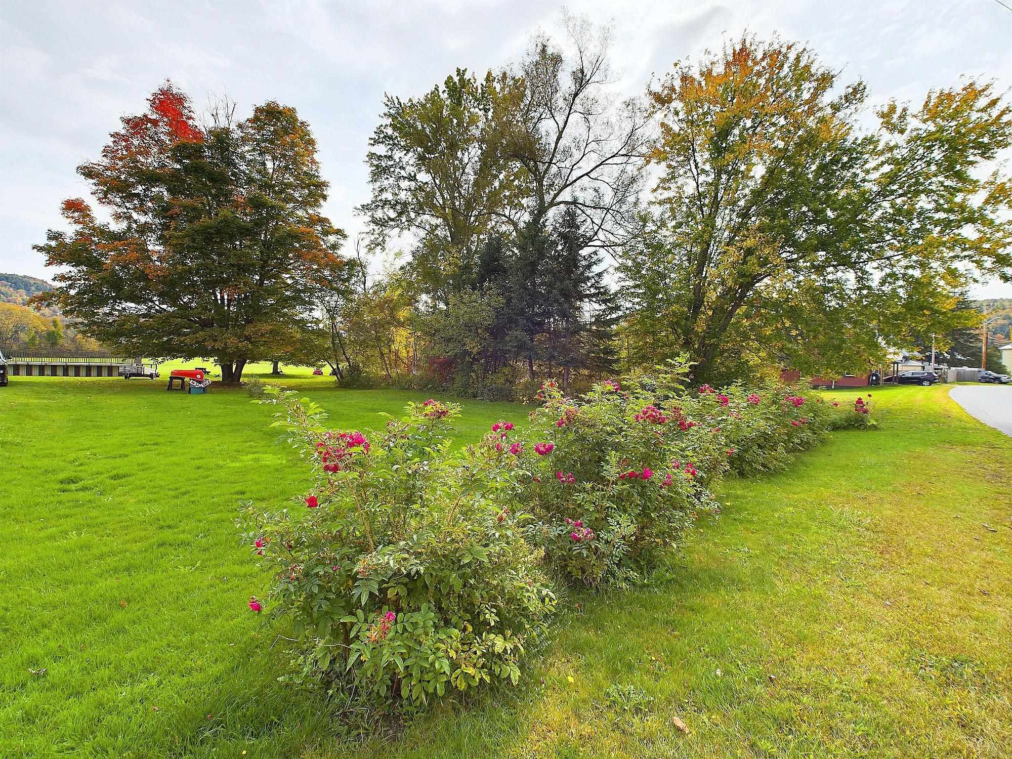 MLS #5015894 image #49