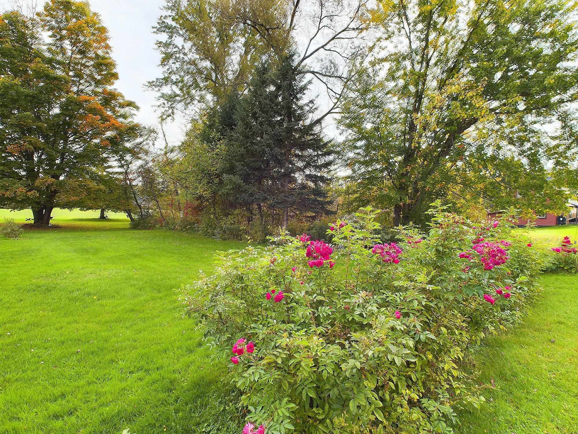 MLS #5015894 image #50