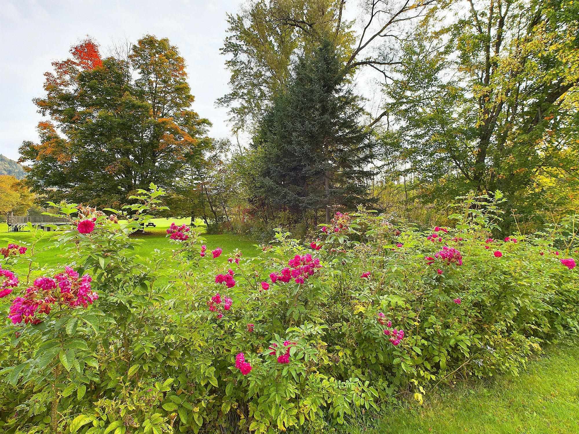 MLS #5015894 image #51