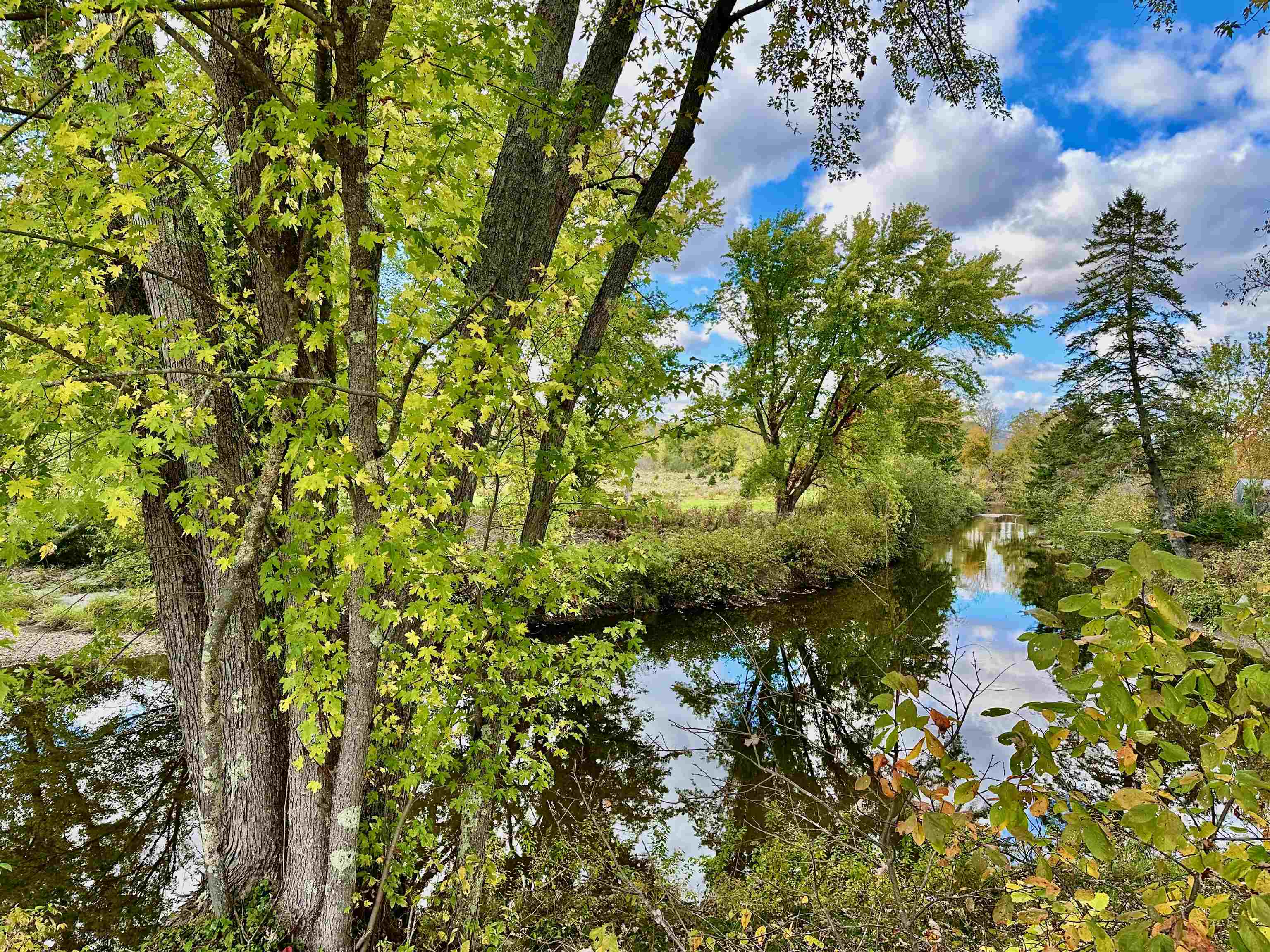 MLS #5016861 image #42