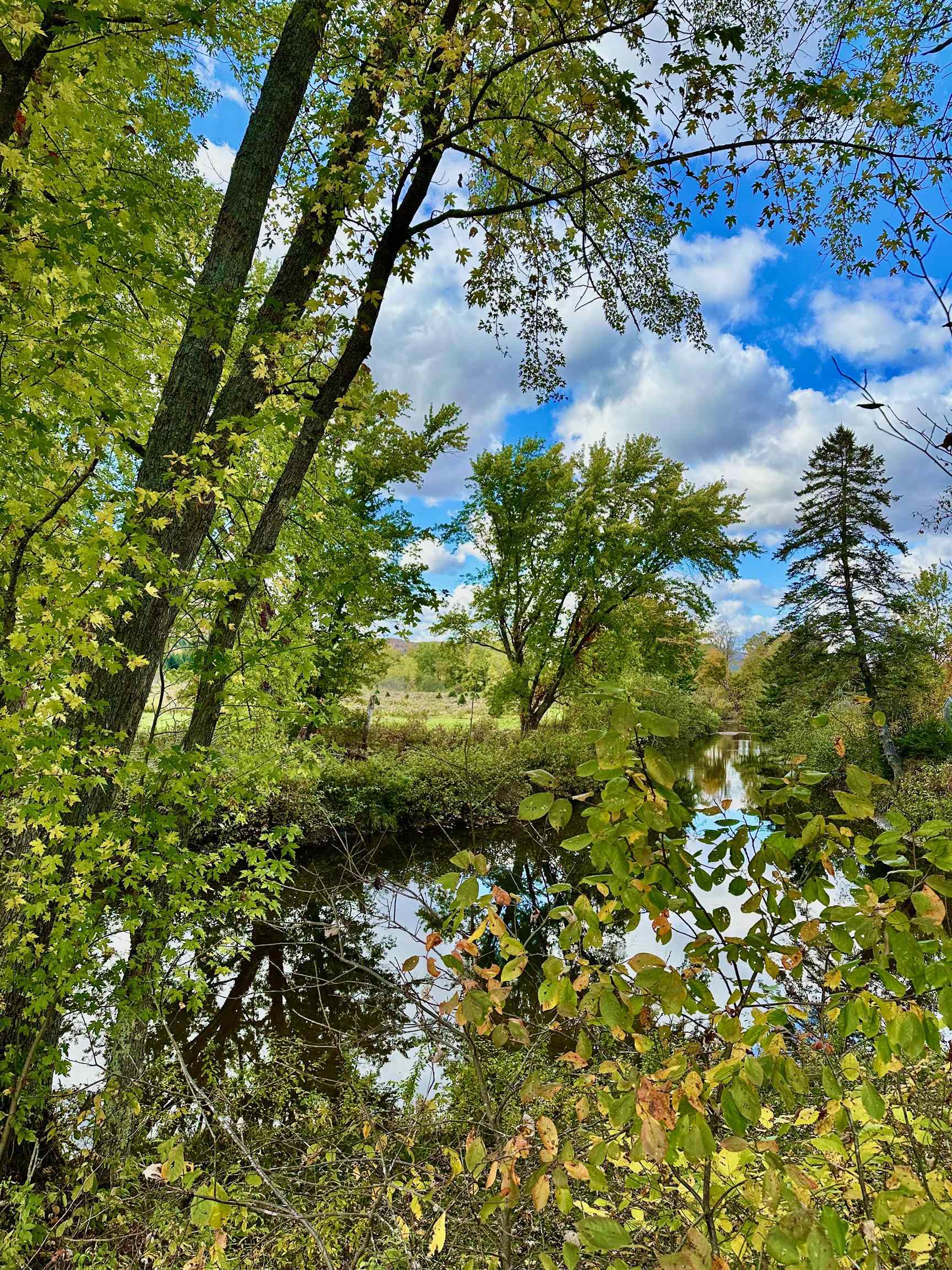 MLS #5016861 image #43