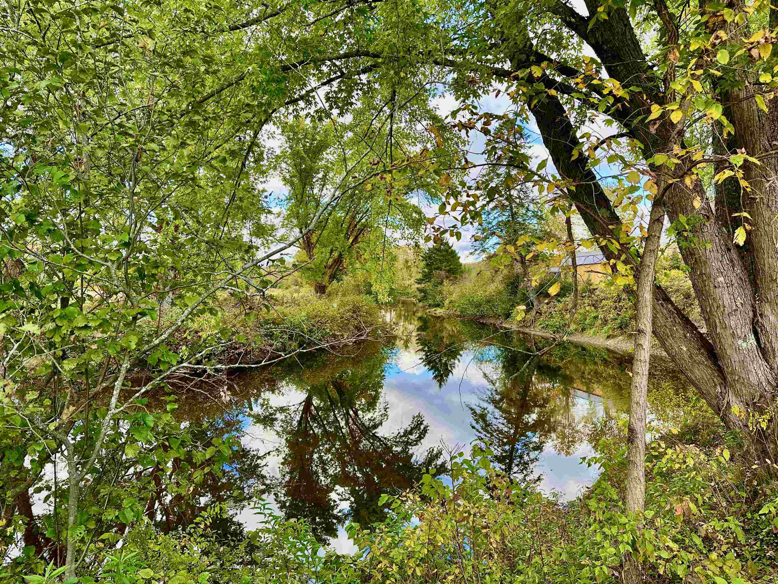 MLS #5016861 image #46