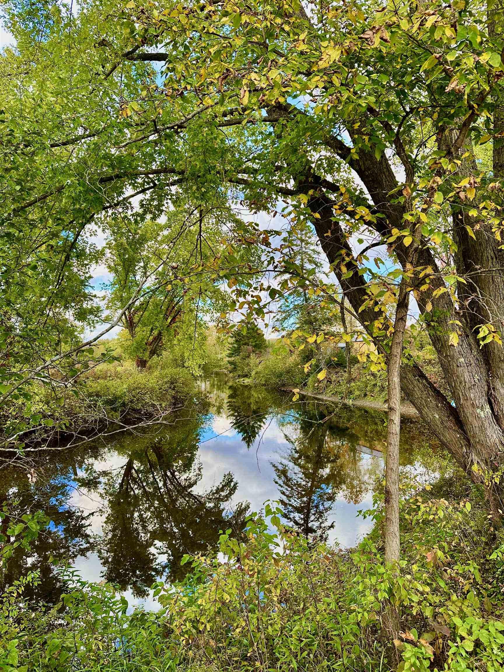 MLS #5016861 image #47