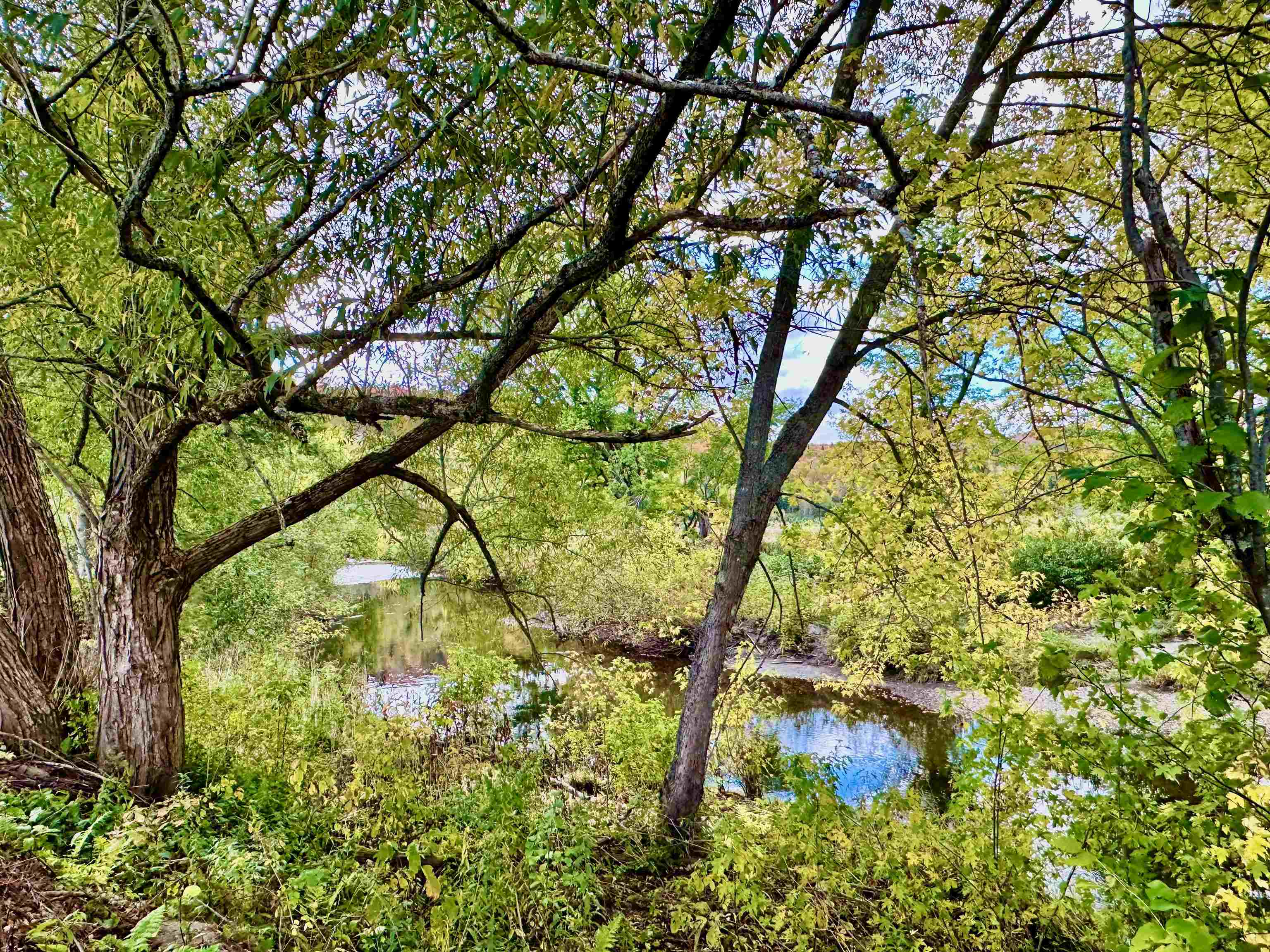 MLS #5016861 image #48