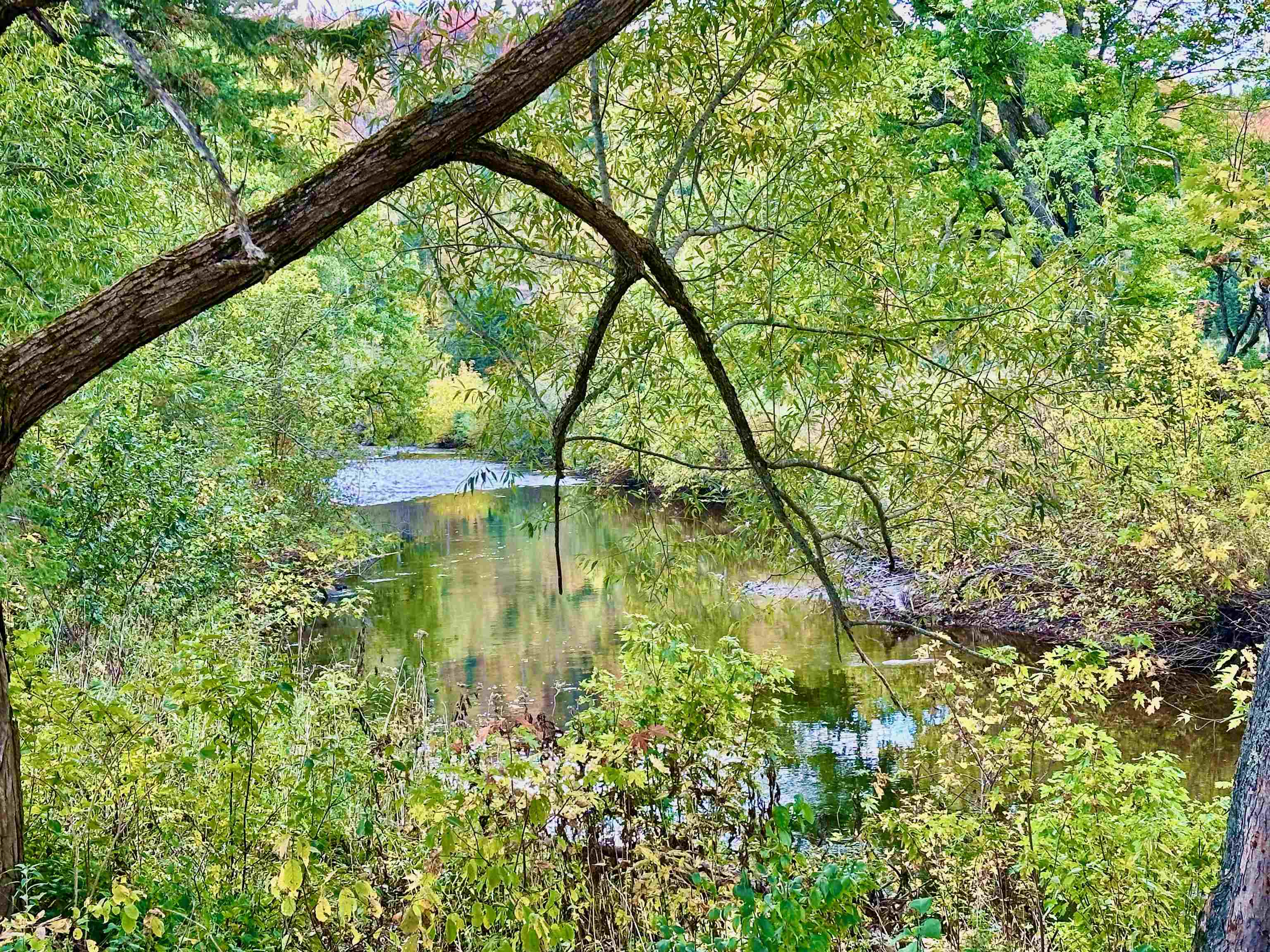 MLS #5016861 image #49