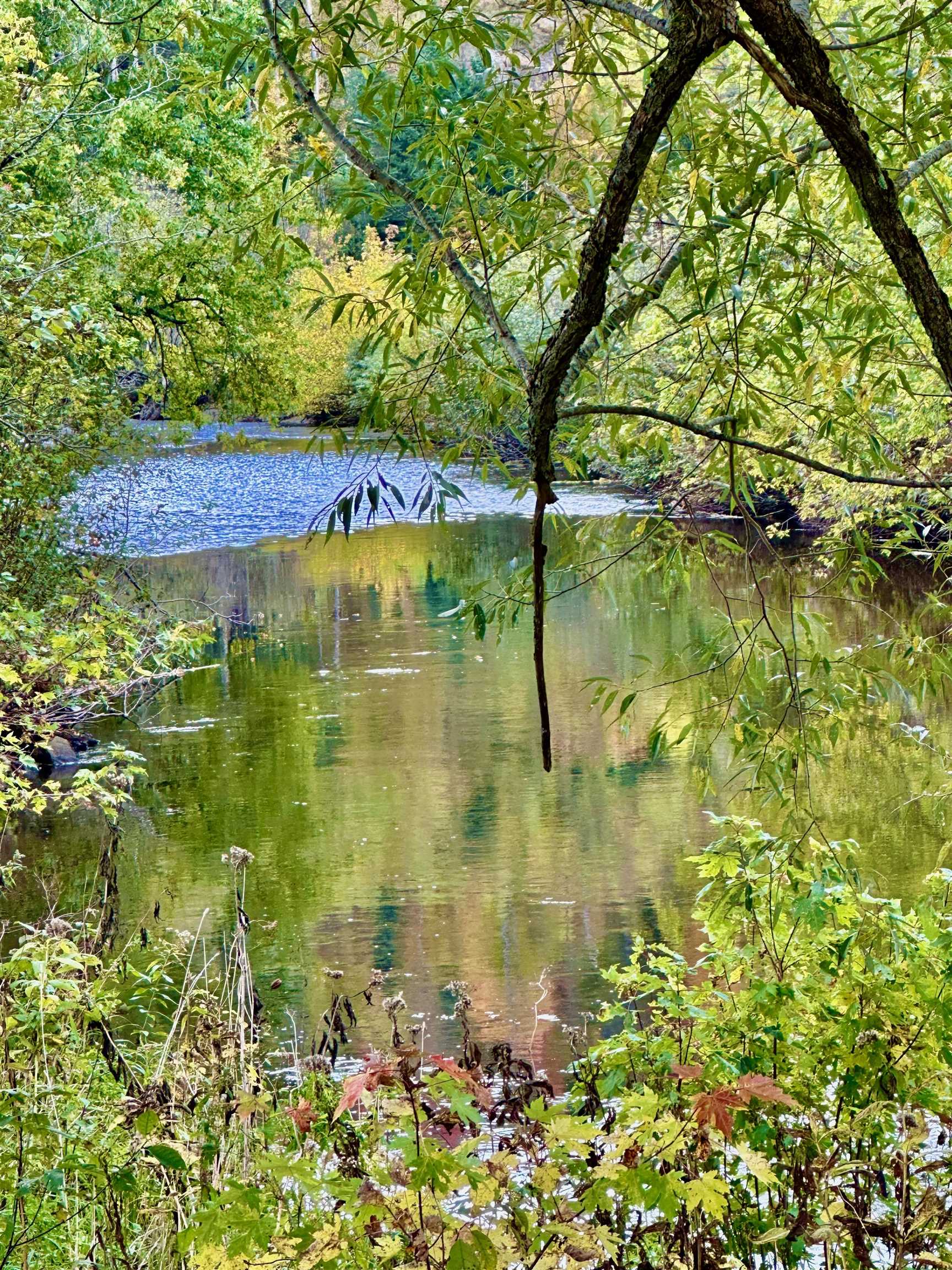 MLS #5016861 image #50