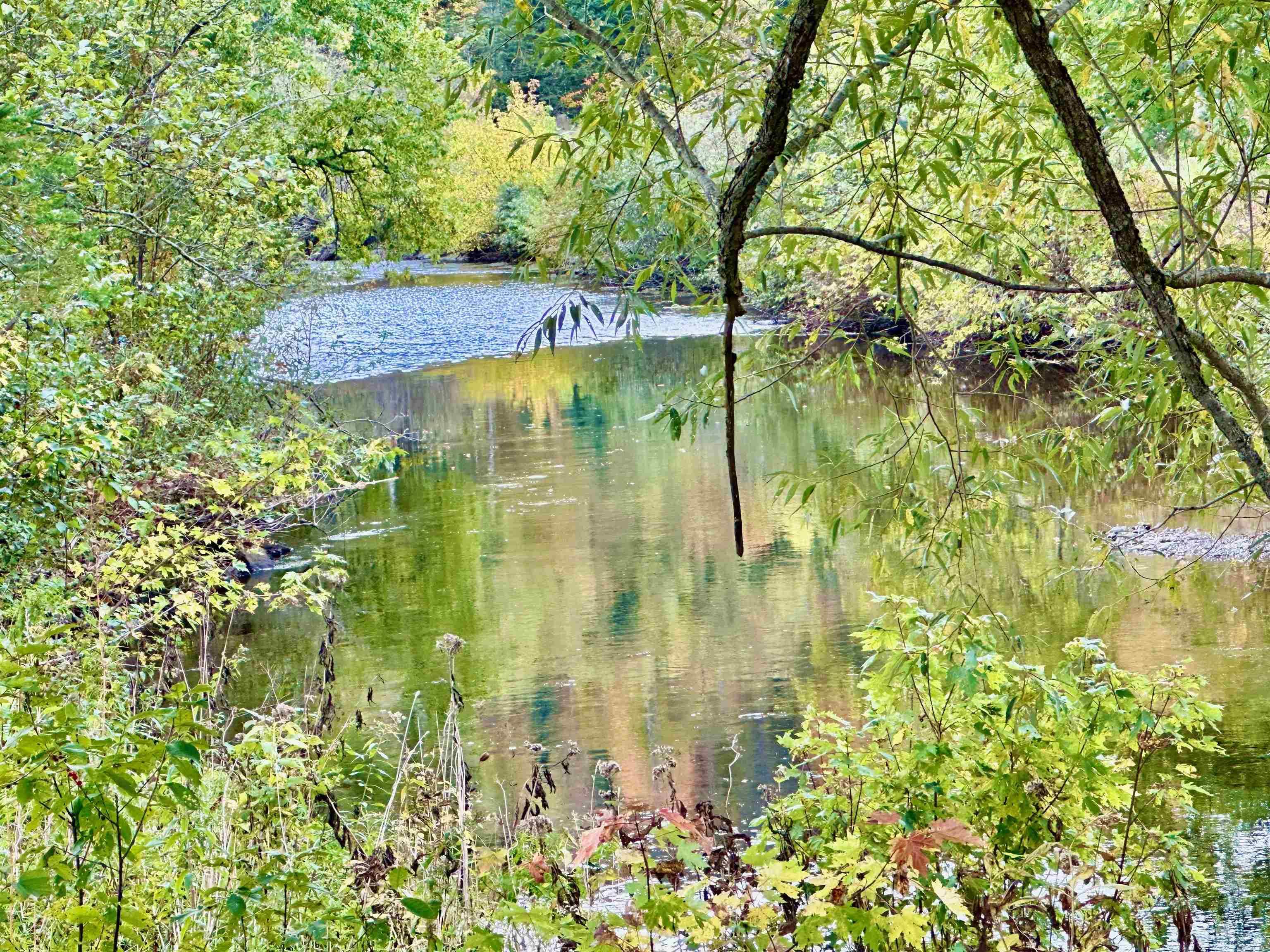 MLS #5016861 image #51