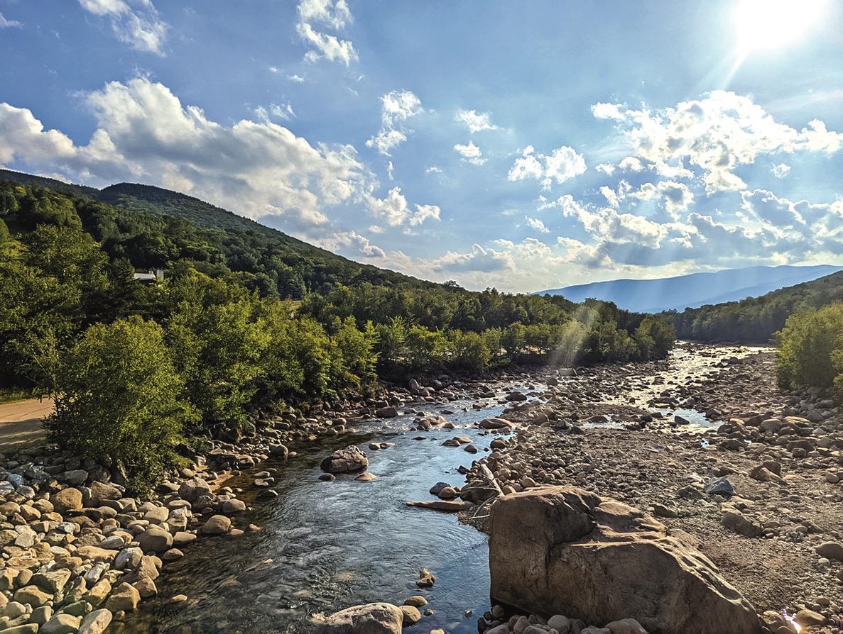 MLS #5017805 image #9