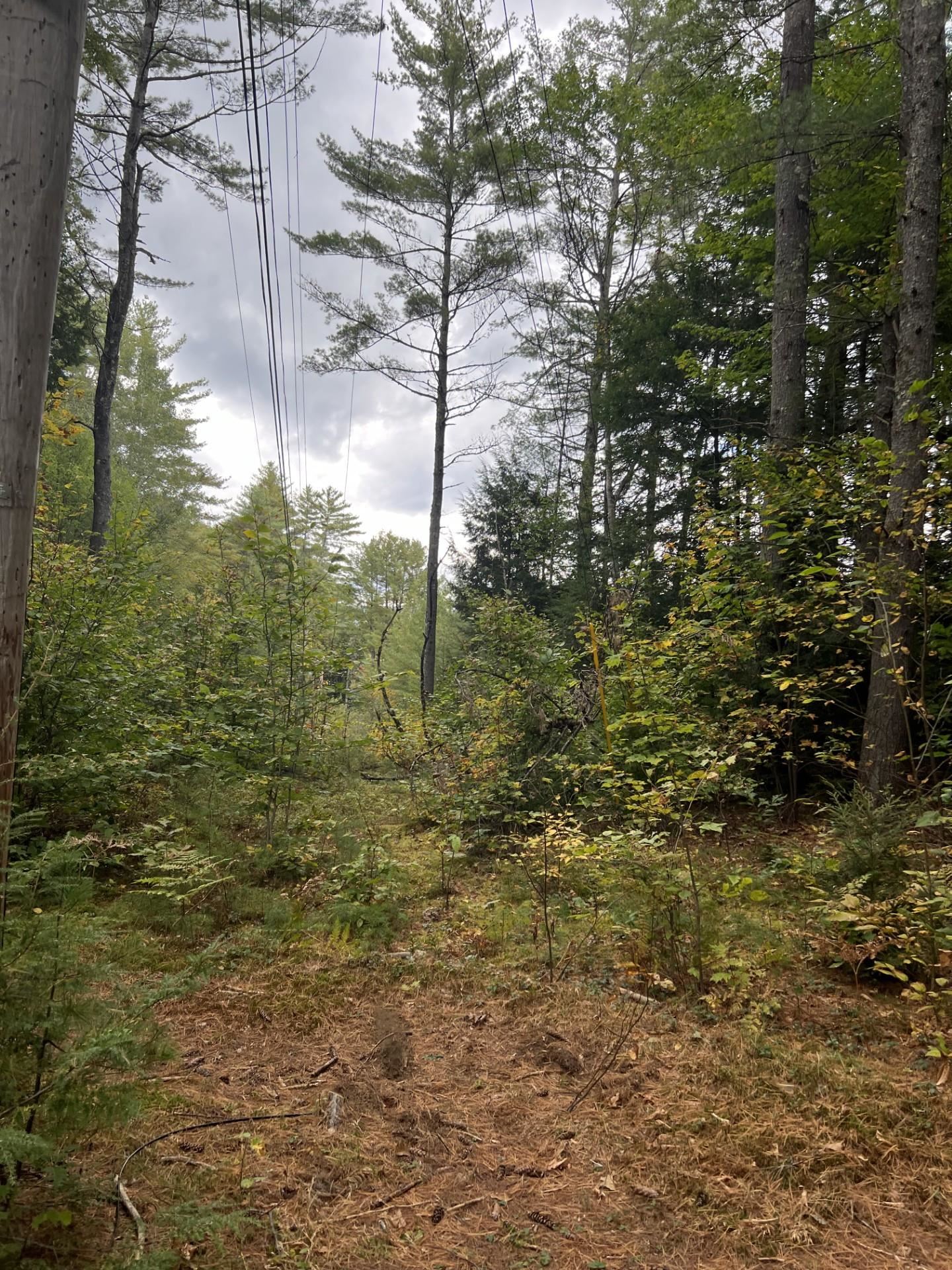 Photo of 73 Mill Brook Road Thornton NH 03285