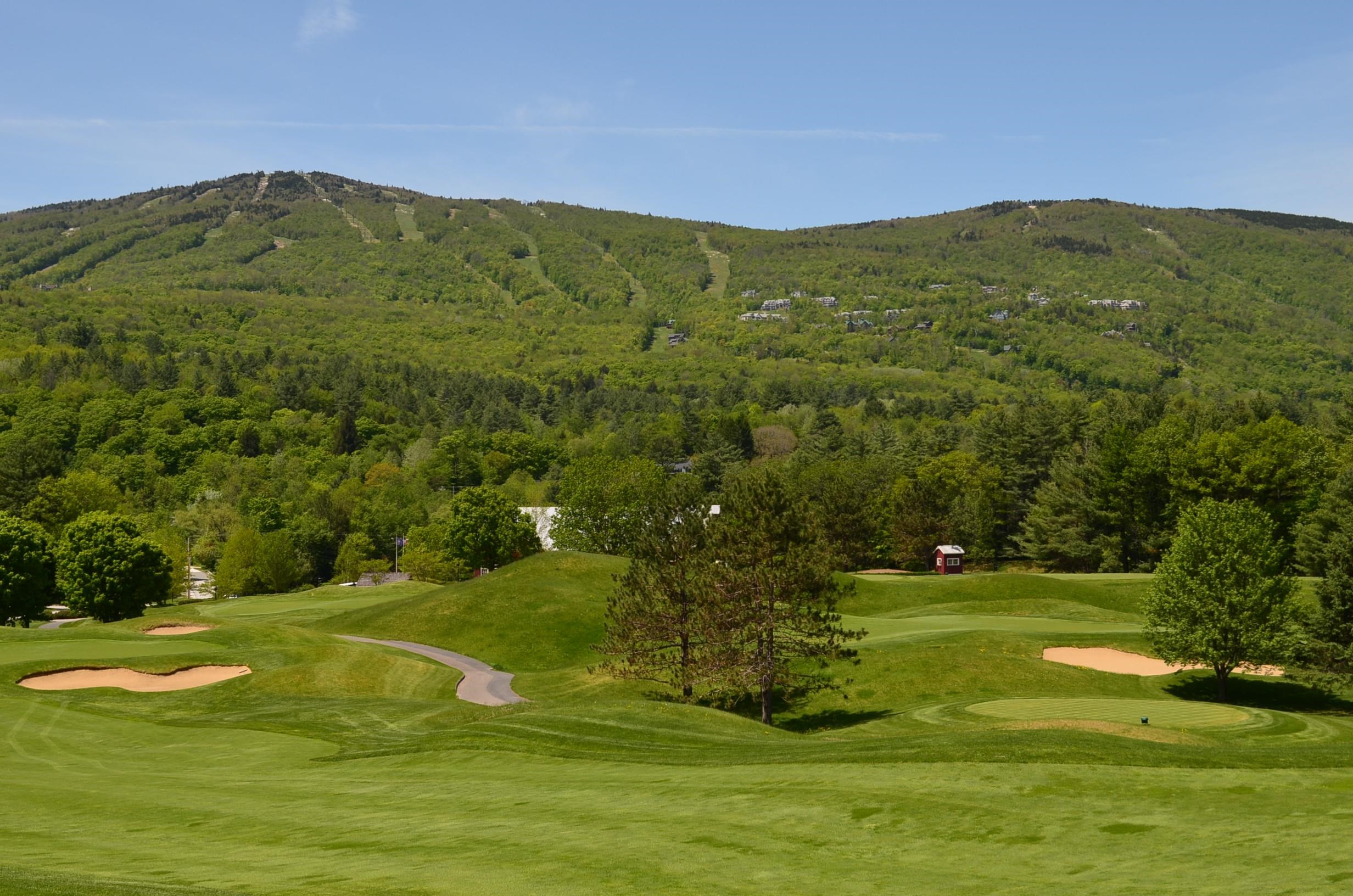 Golf course in town