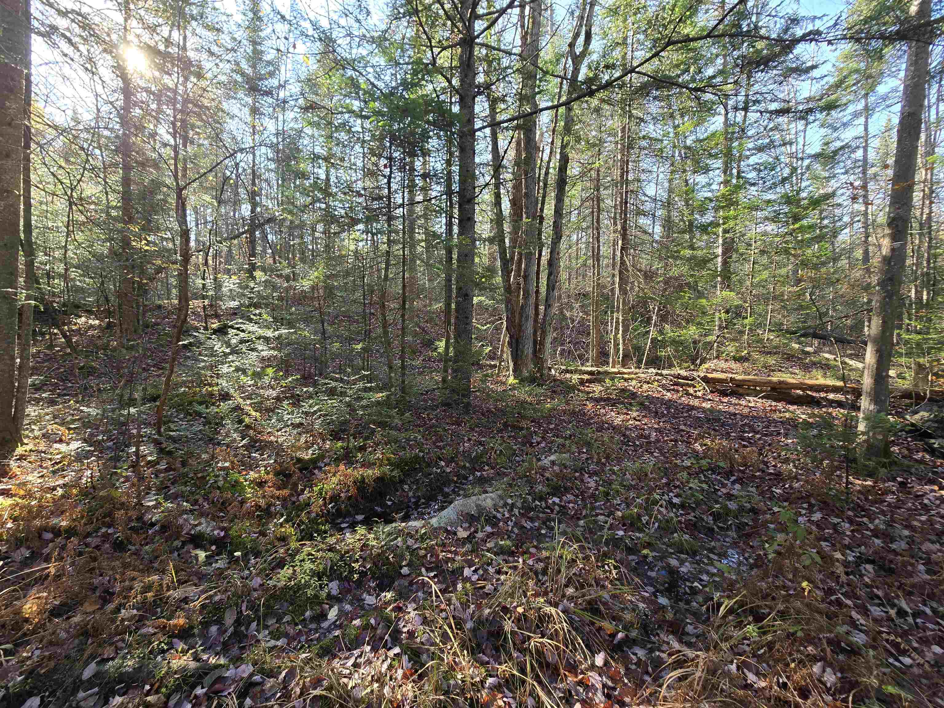 Photo of Lot 3 Chipper Lane Milan NH 03588