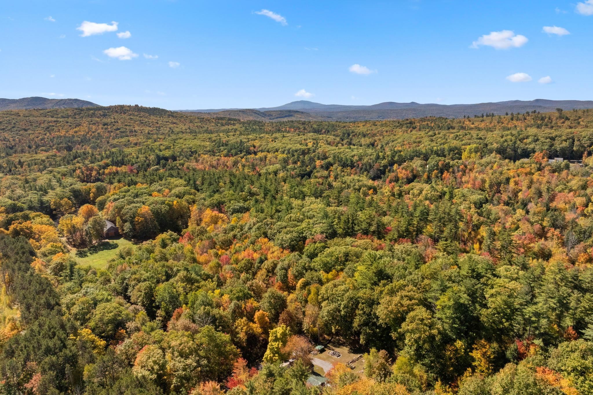 MLS #5019422 image #11