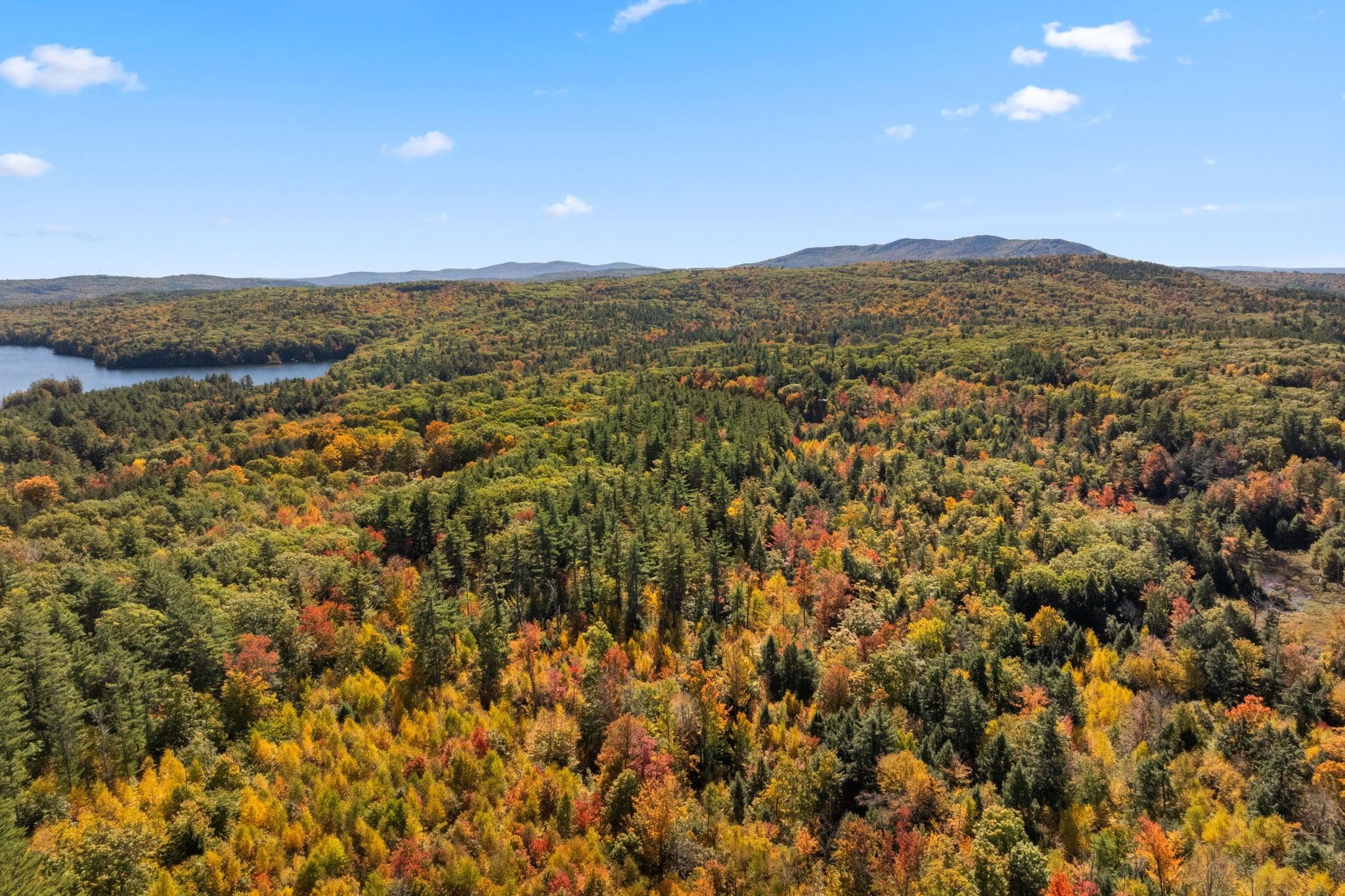 MLS #5019422 image #13