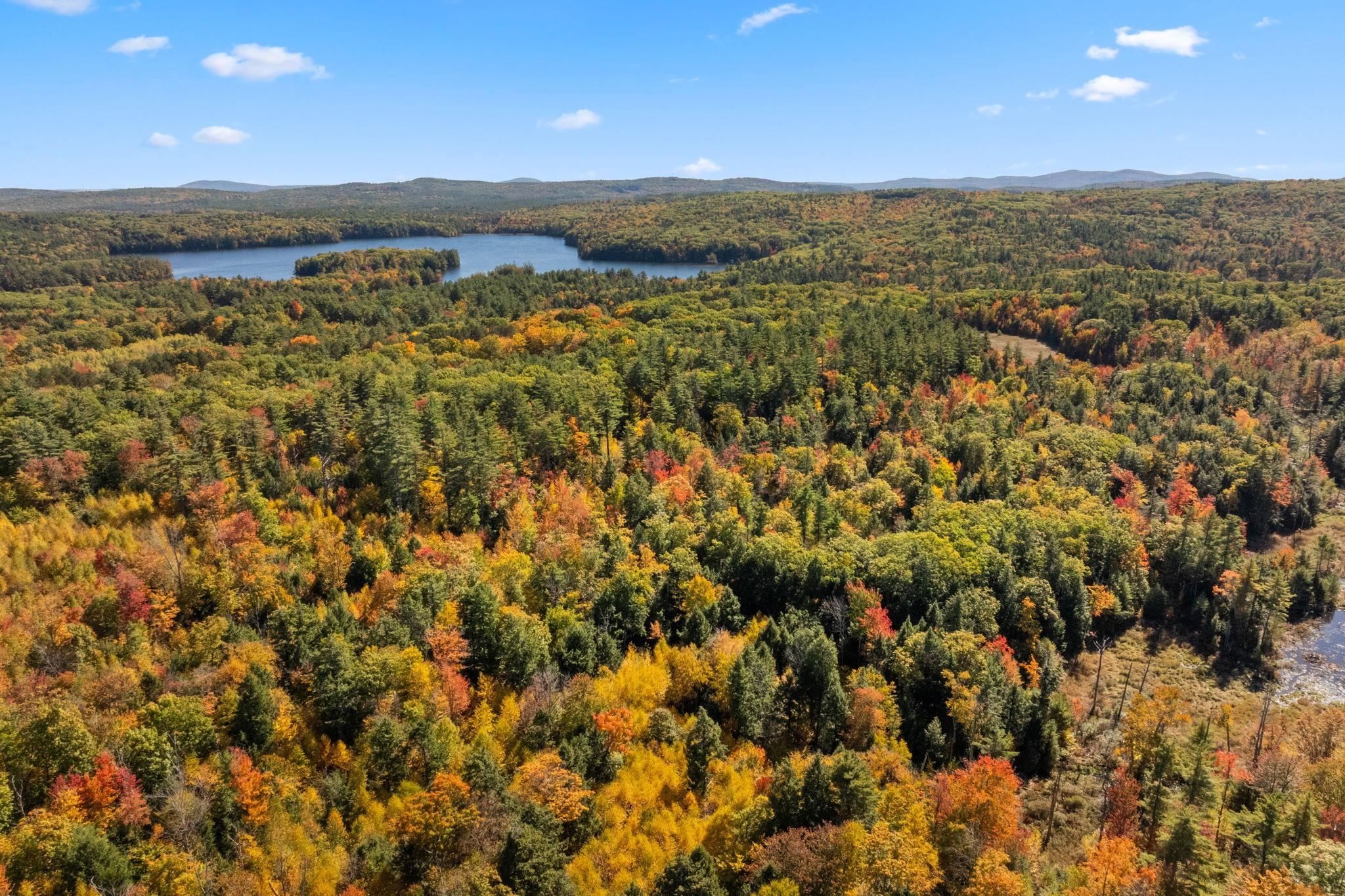 MLS #5019422 image #15