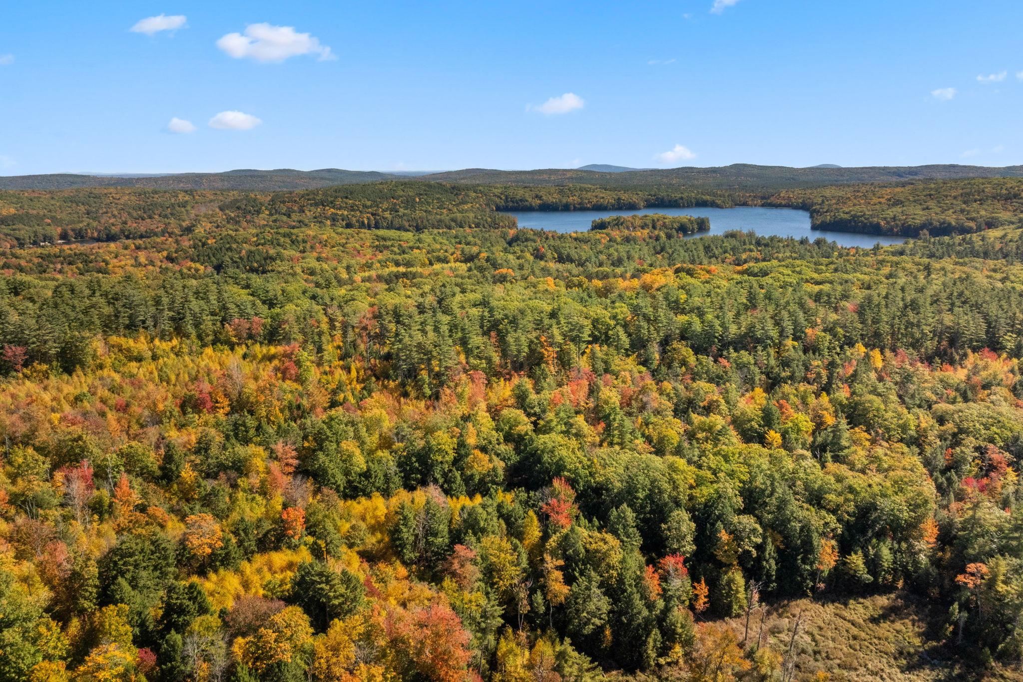 MLS #5019422 image #16