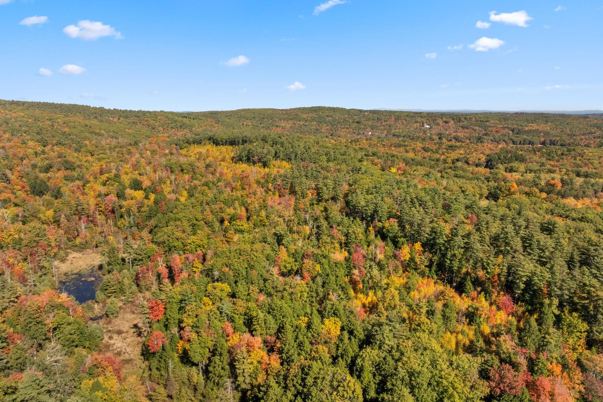 MLS #5019422 image #18