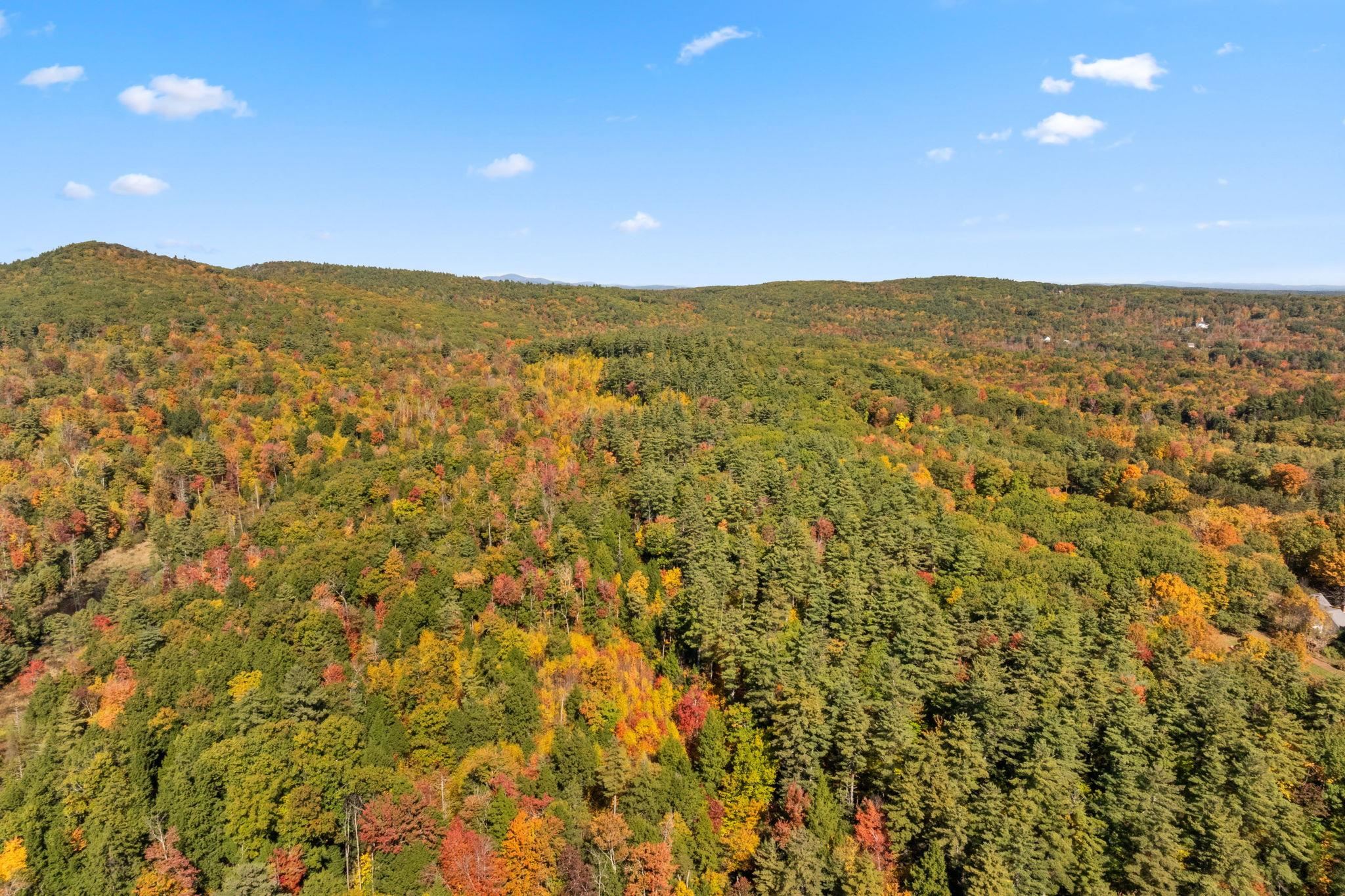 MLS #5019422 image #19