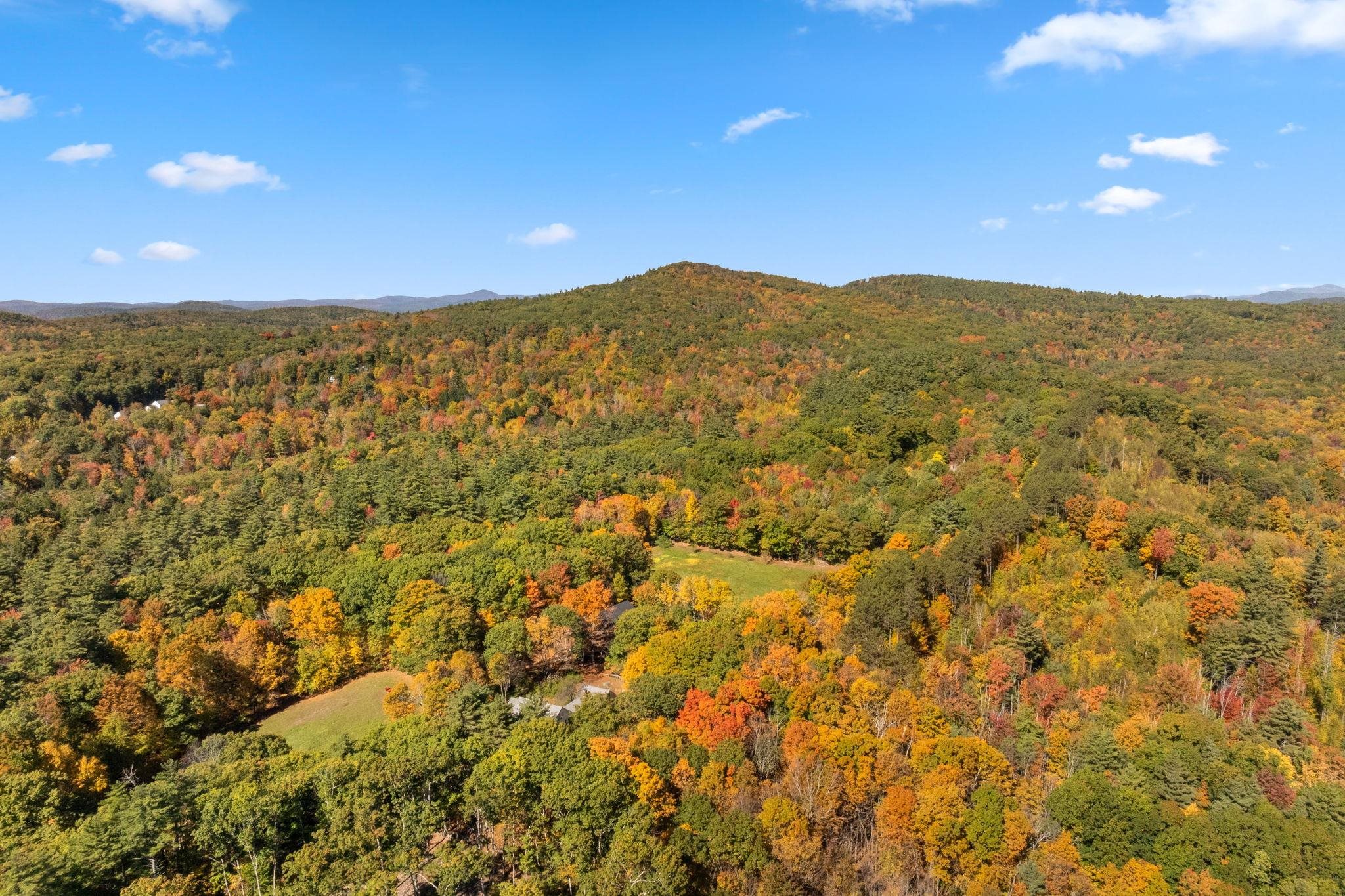 MLS #5019422 image #22