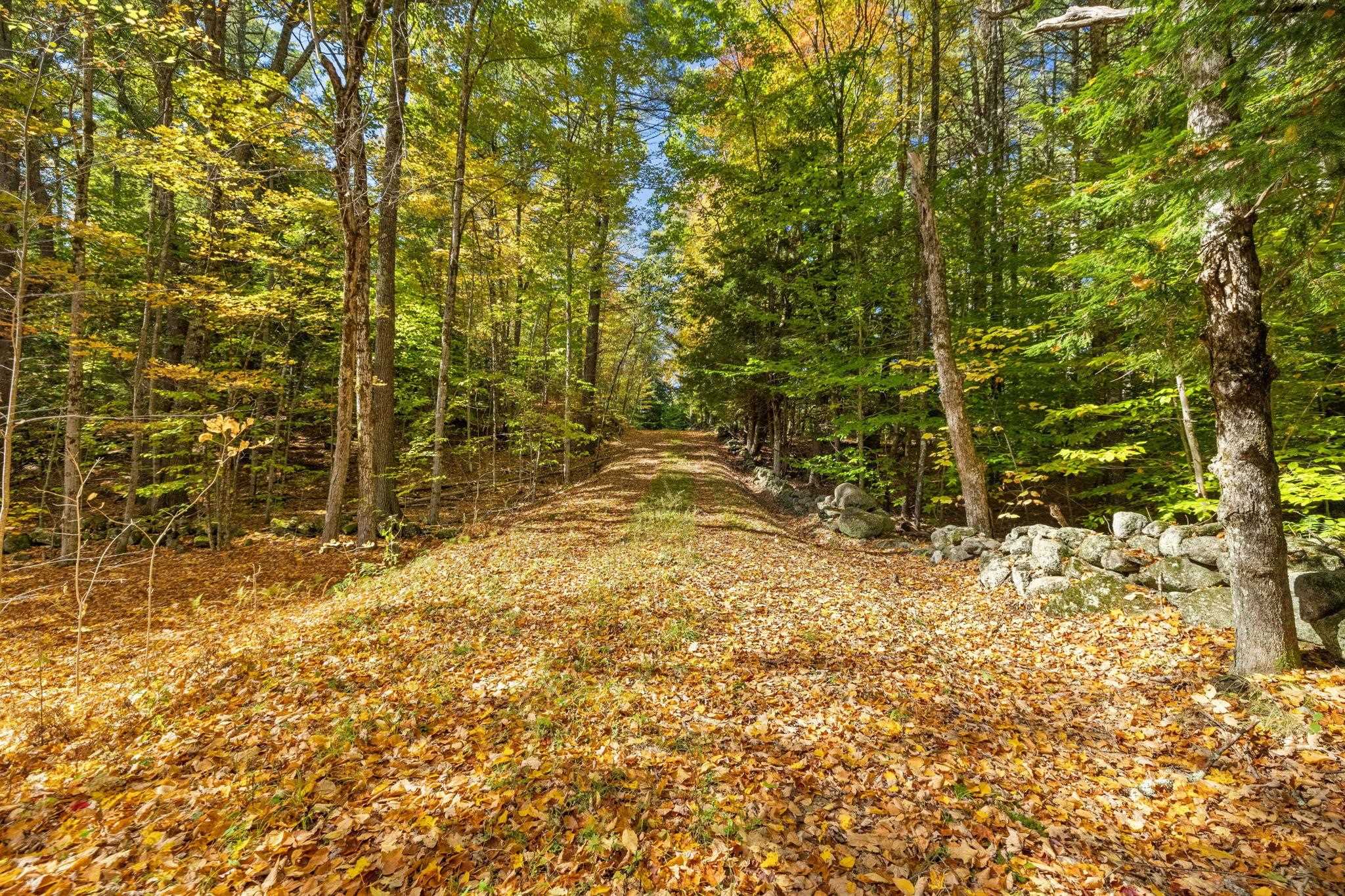 MLS #5019422 image #4