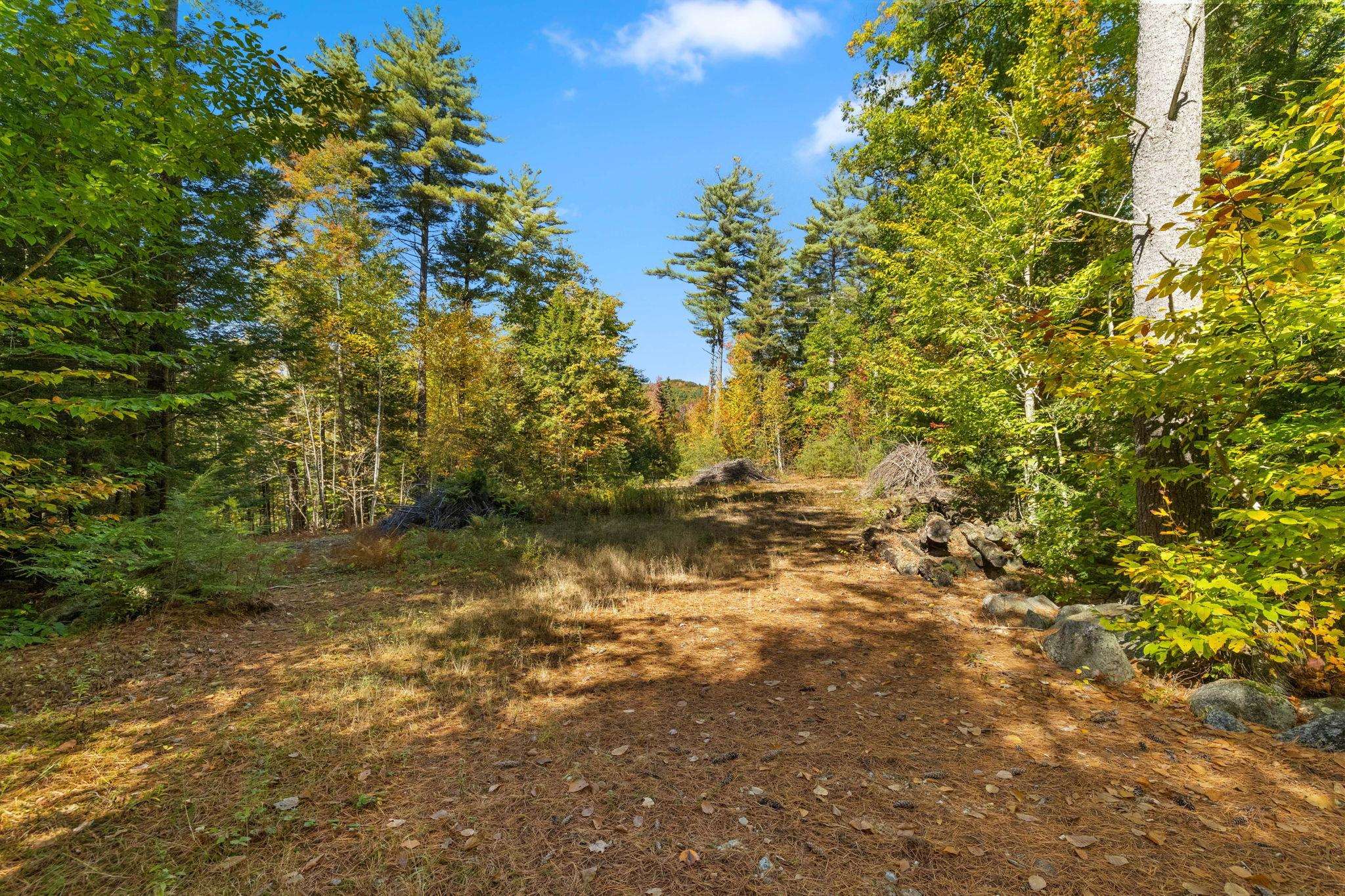 MLS #5019422 image #6