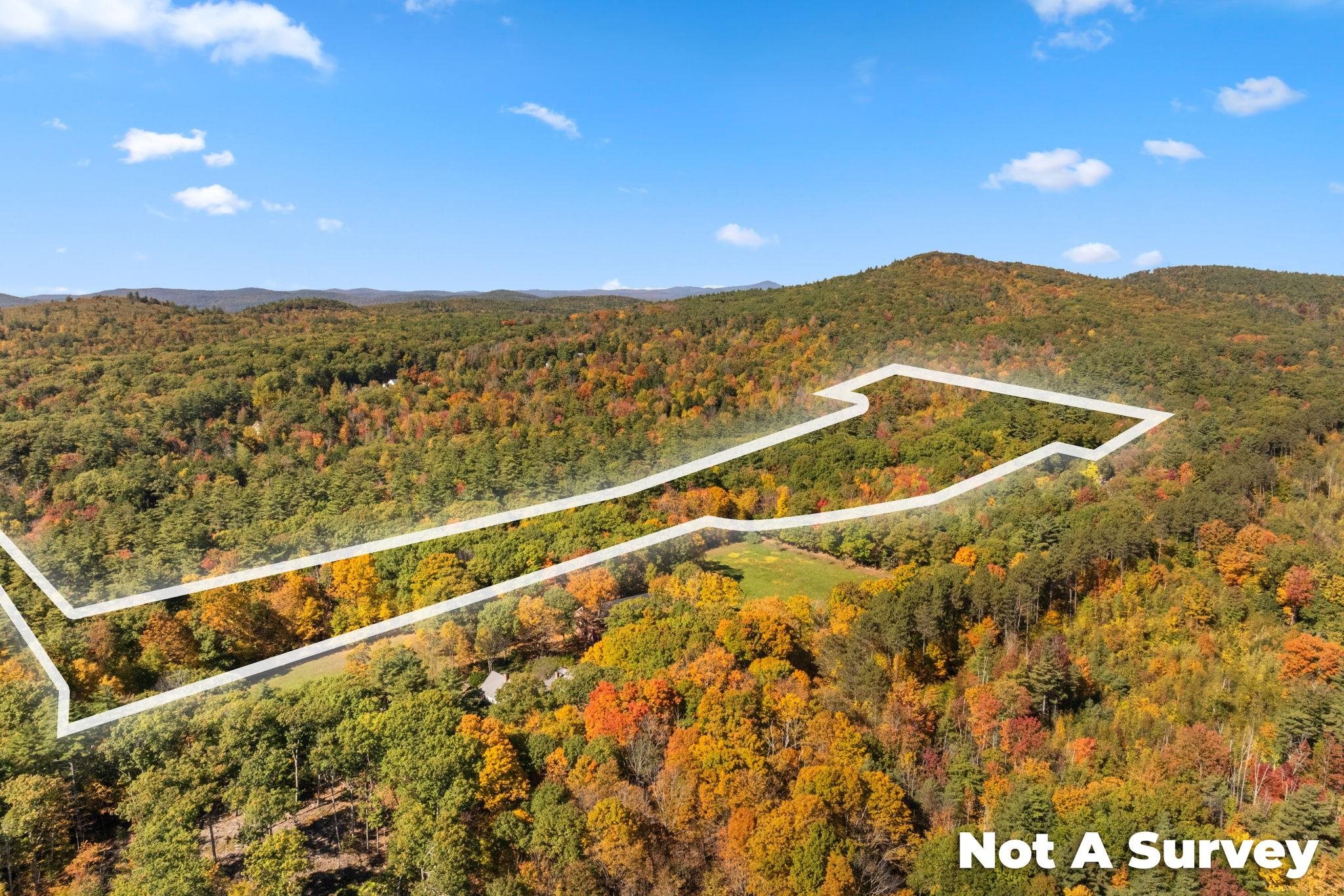 MLS #5019422 image #8