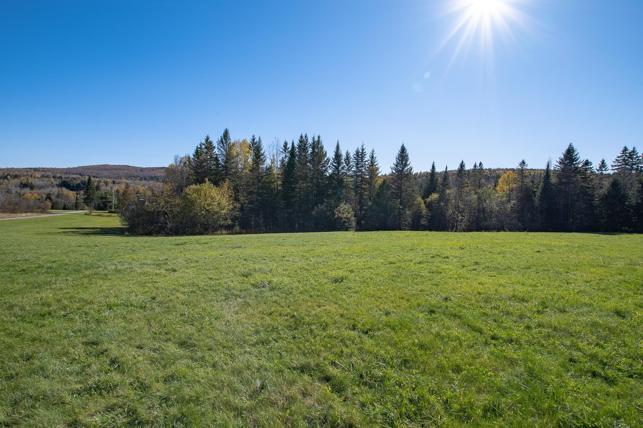 MLS #5019510 image #0