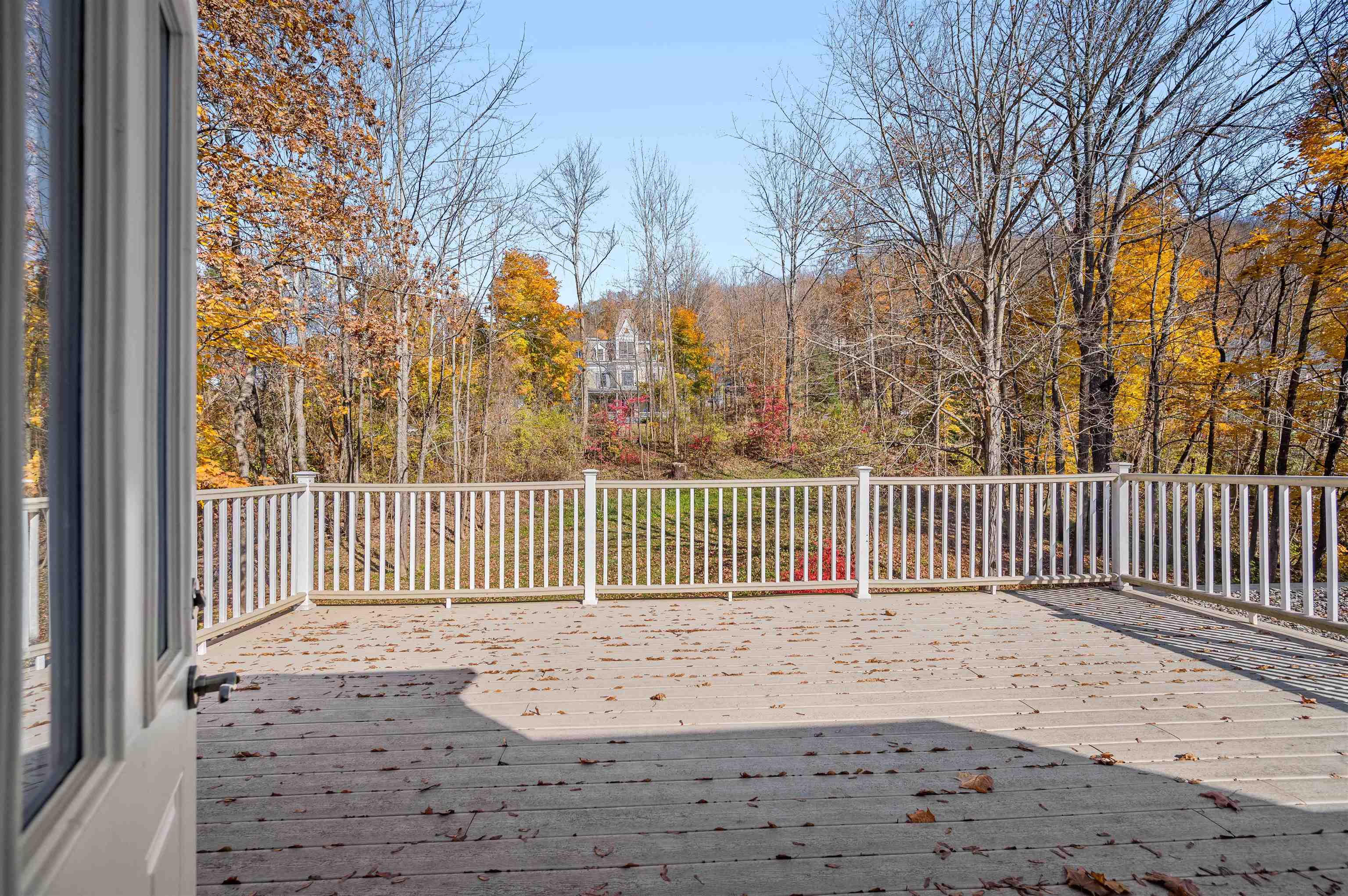 Rear Deck from Third Floor Office Suite with State House view