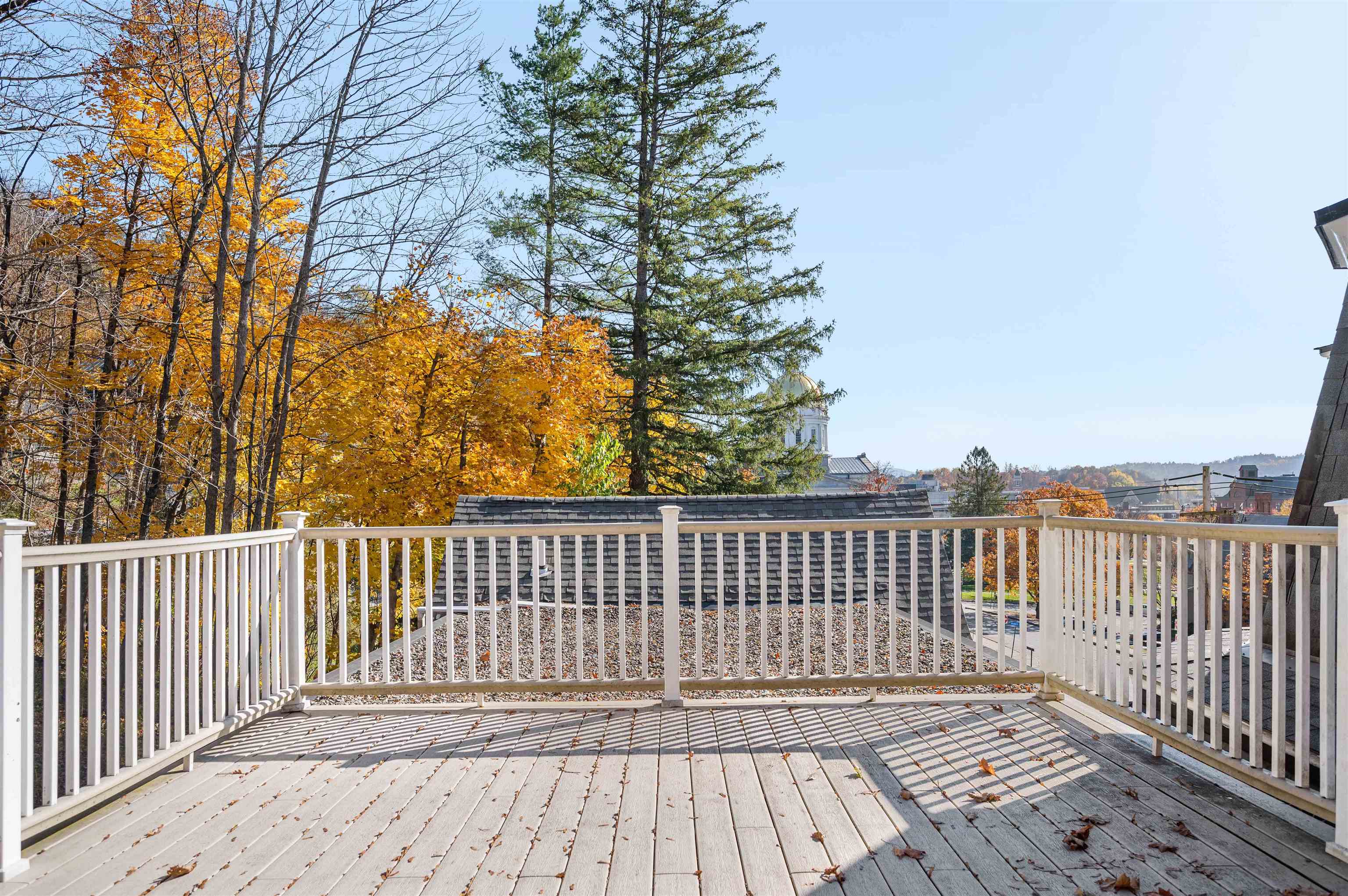 Rear Deck from Third Floor Office Suite with State House view