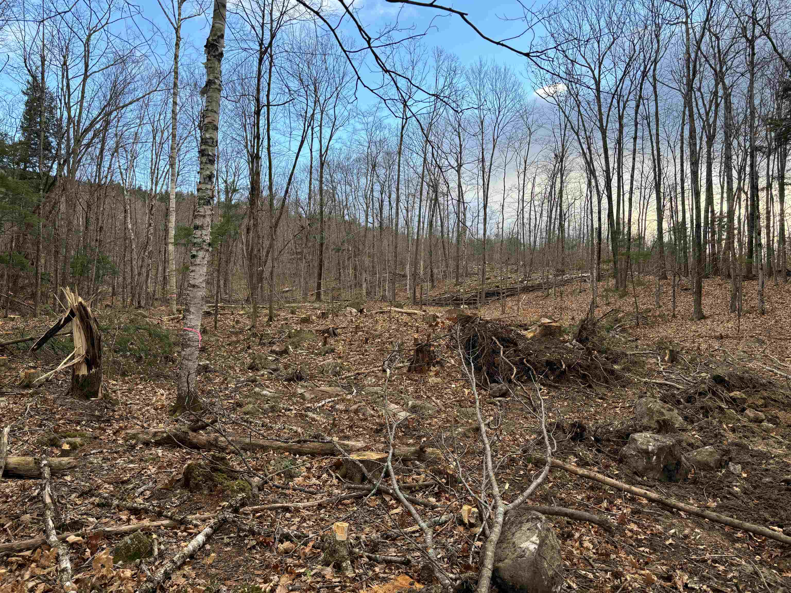 Photo of 143 Garmish Drive New Durham NH 03855