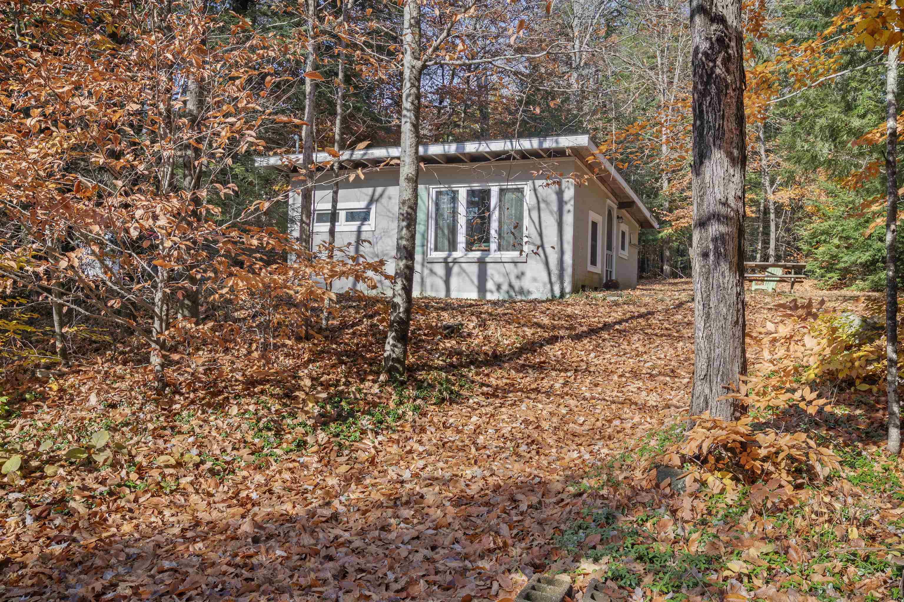 MLS #5020955 image #42