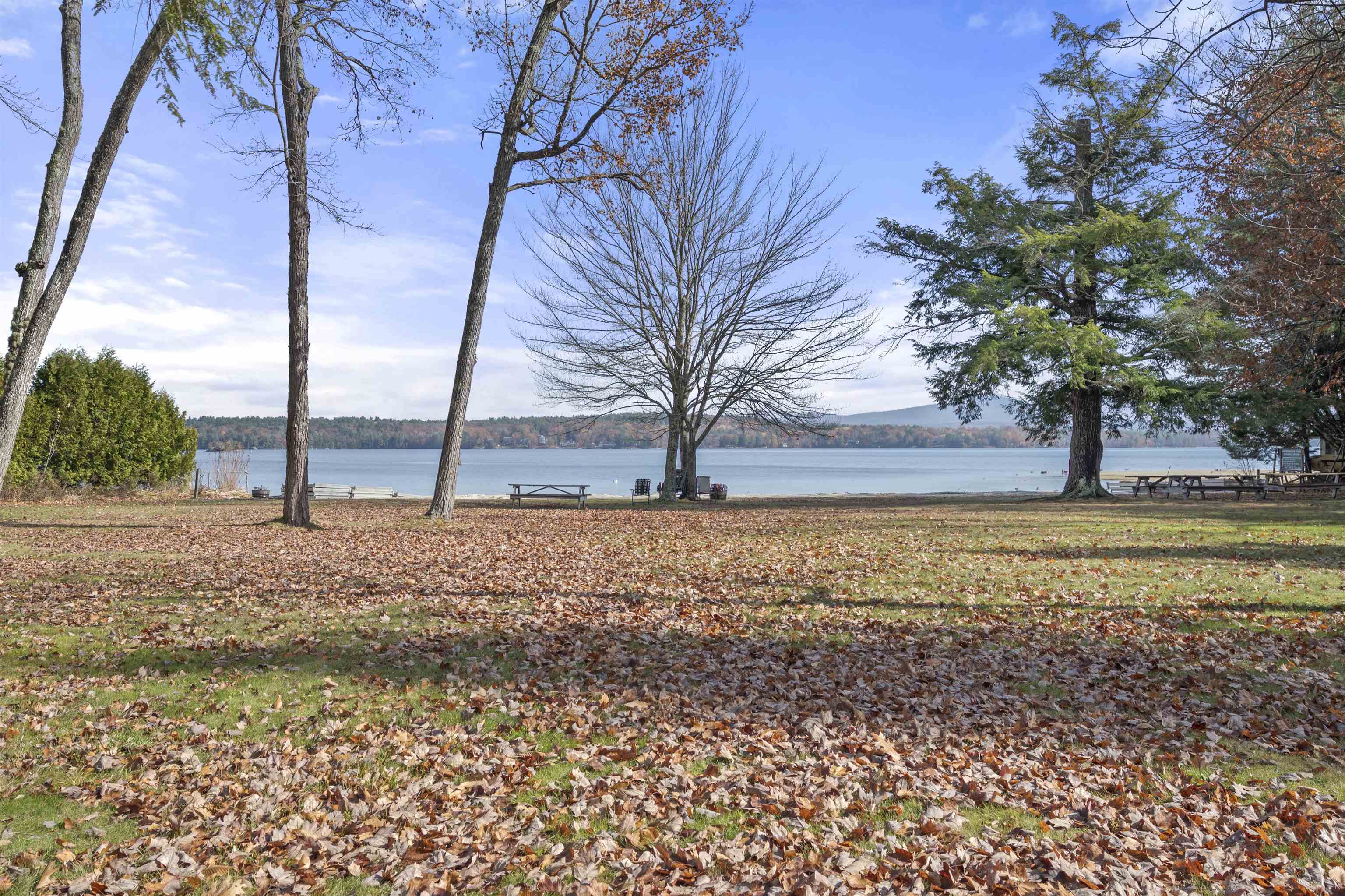 MLS #5020955 image #49