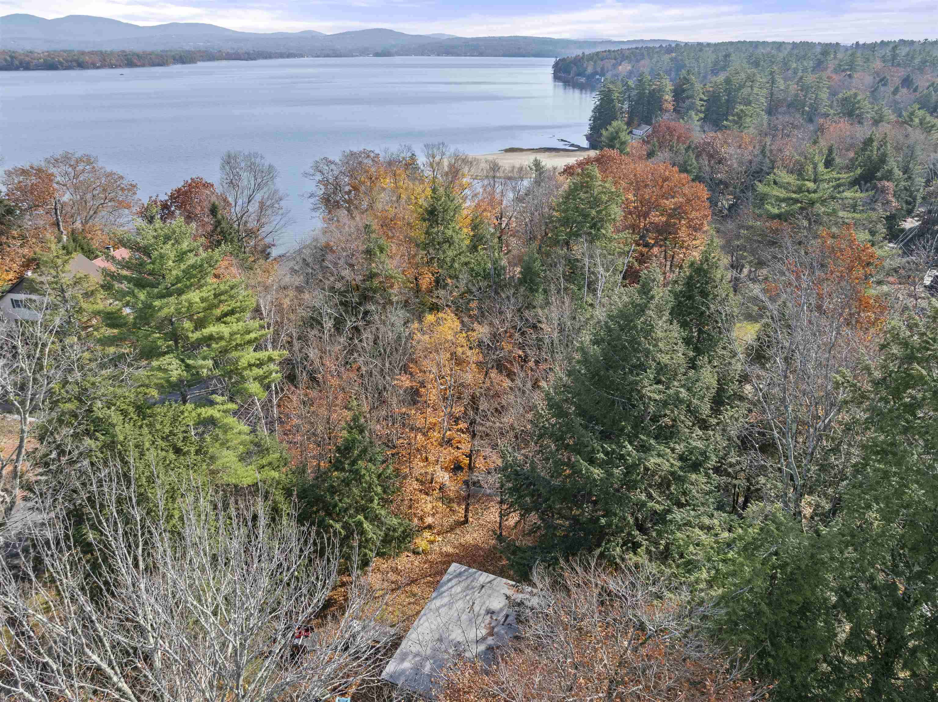 MLS #5020955 image #8