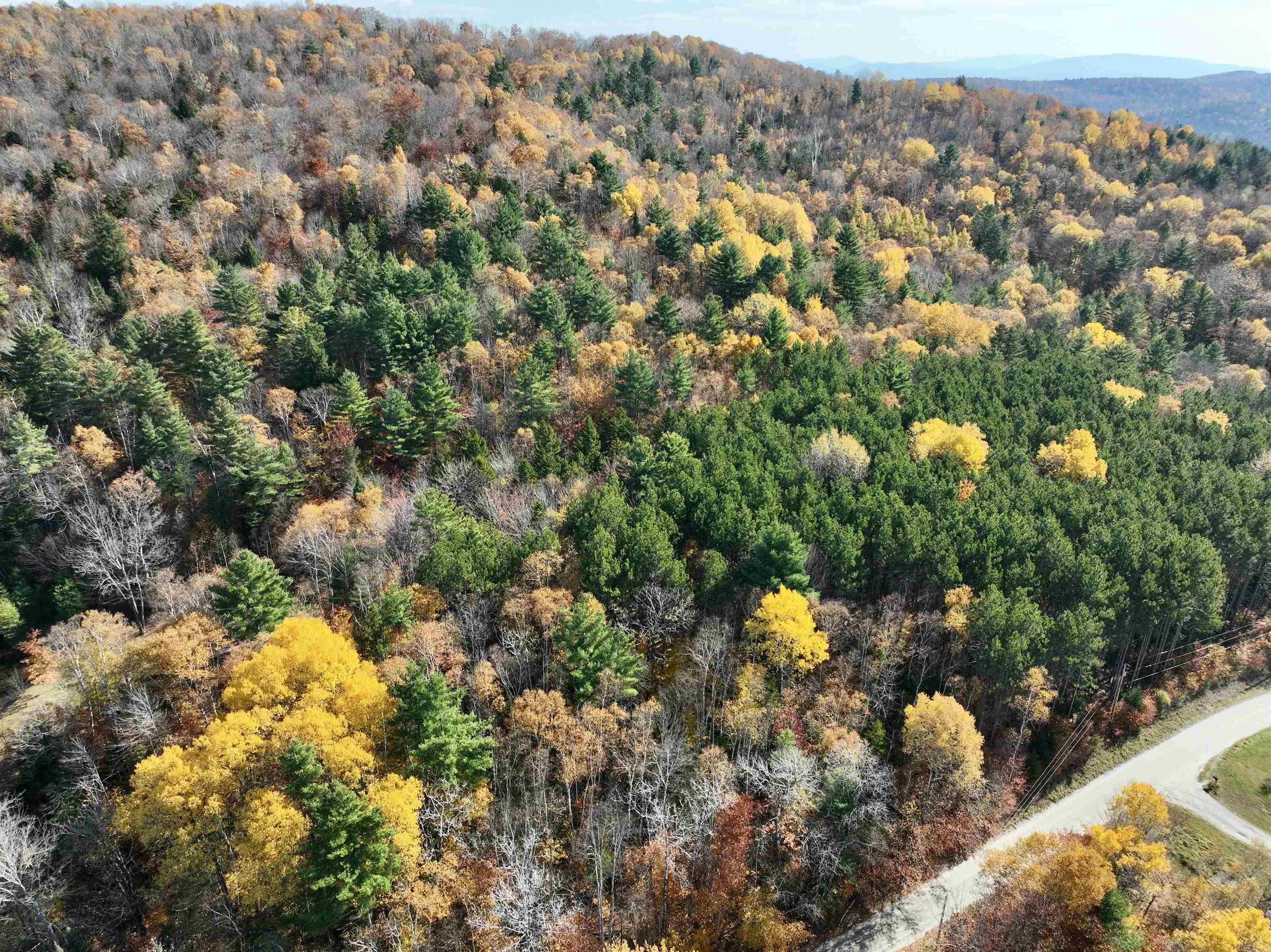 Topsham VT Land for sale $145,000 | 20 Acres  | Price Per Acre $0 
