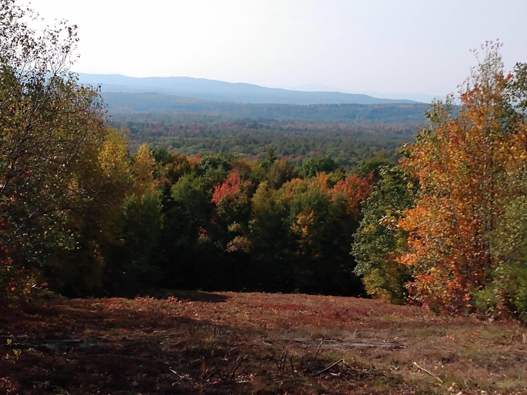 Fall Photo