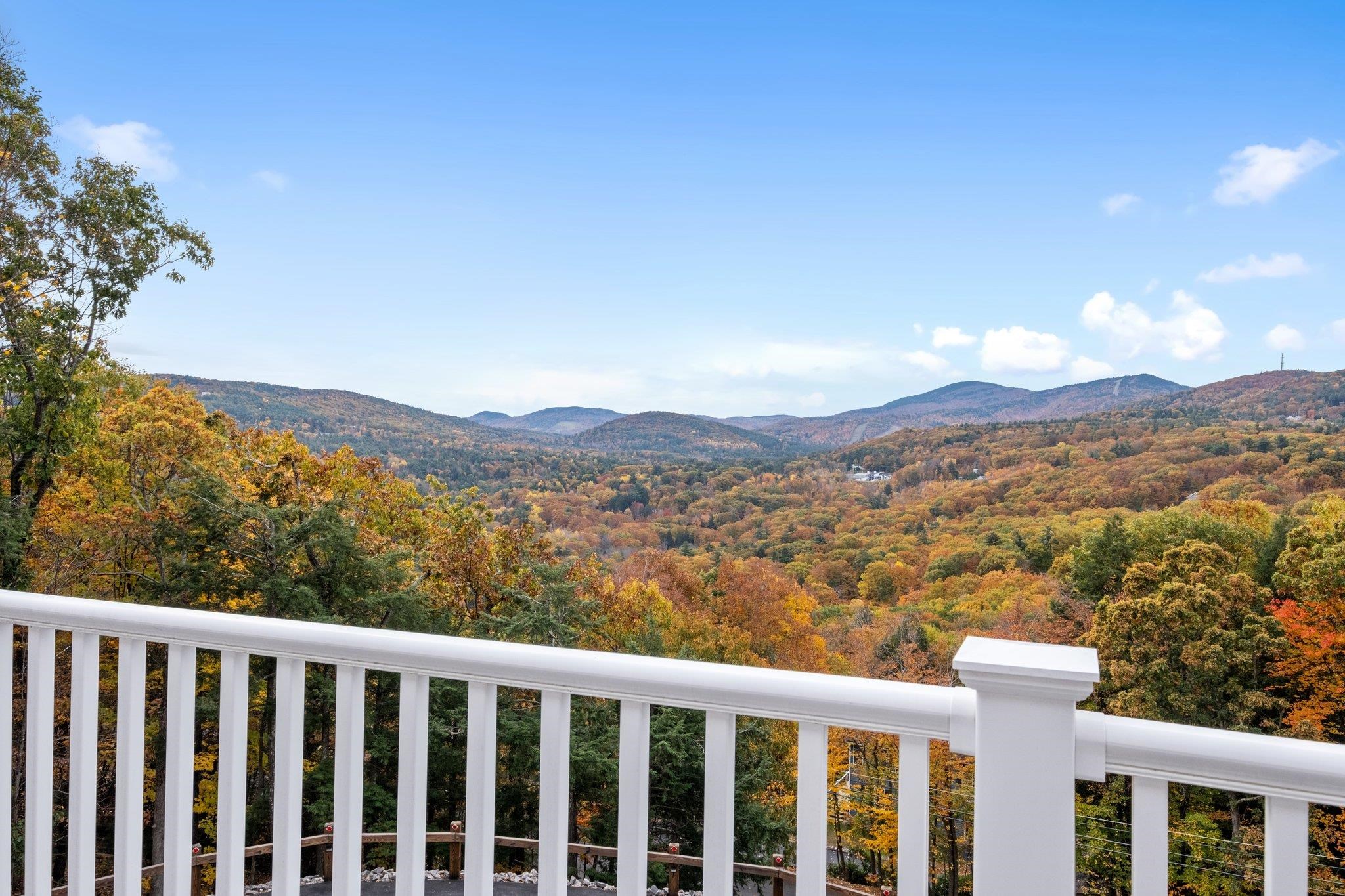 MLS #5021825 image #44