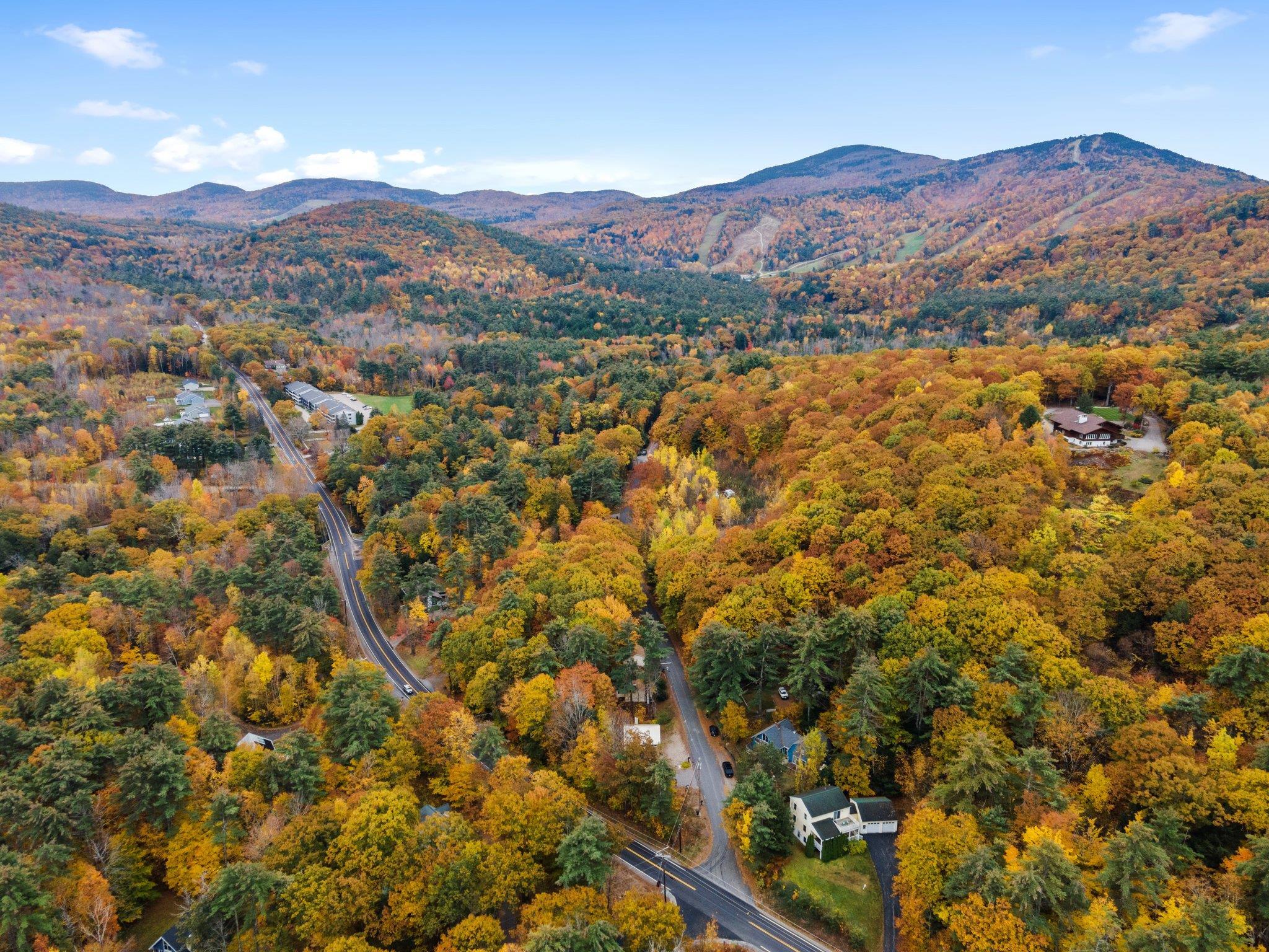 MLS #5021825 image #49