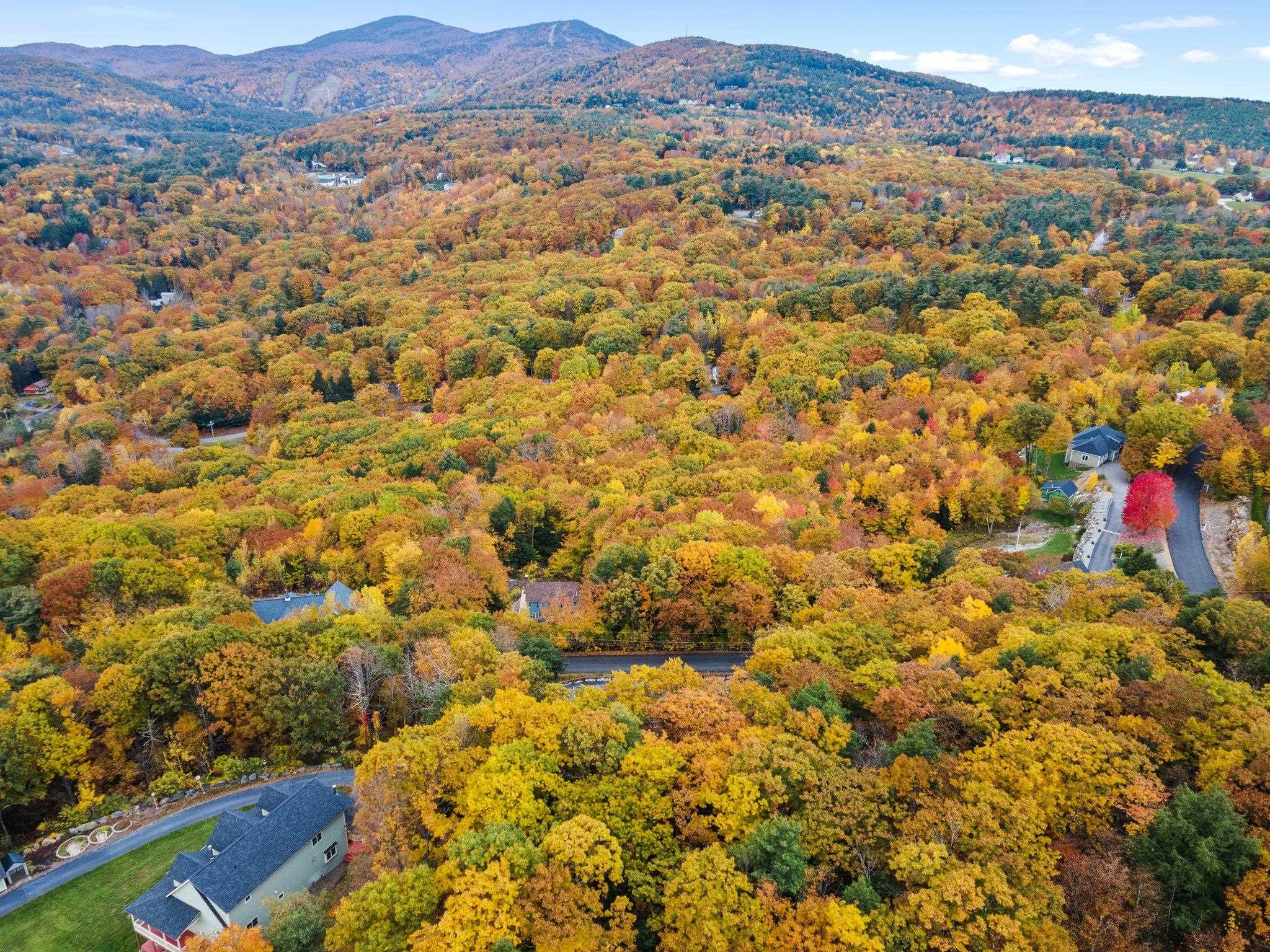 MLS #5021825 image #52