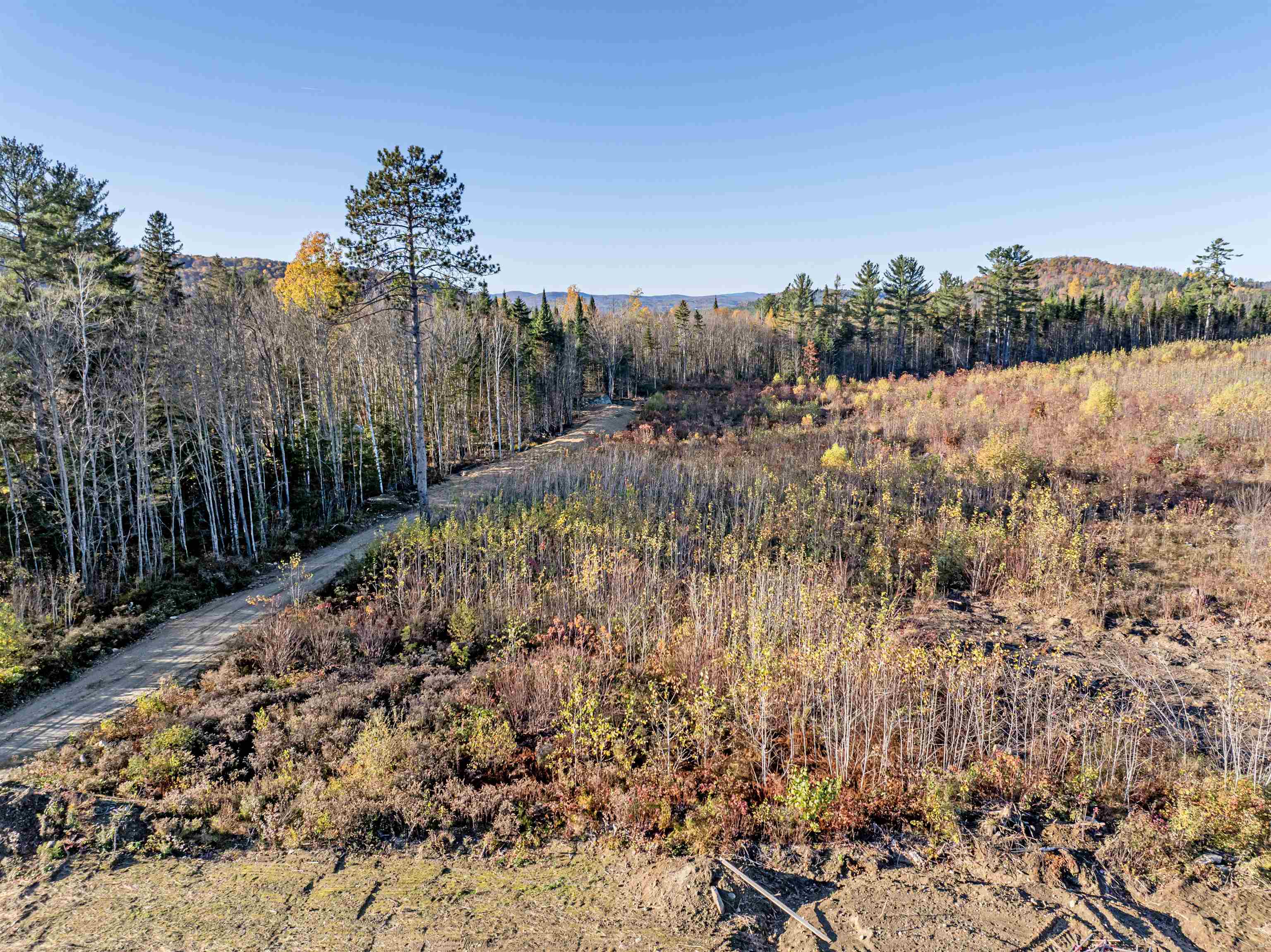 Photo of Lot 1 McIntyre Road Dalton NH 03598