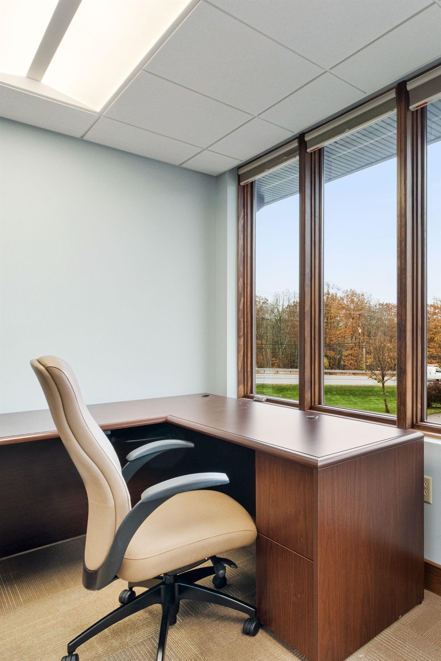 MLS #5022057 image #22